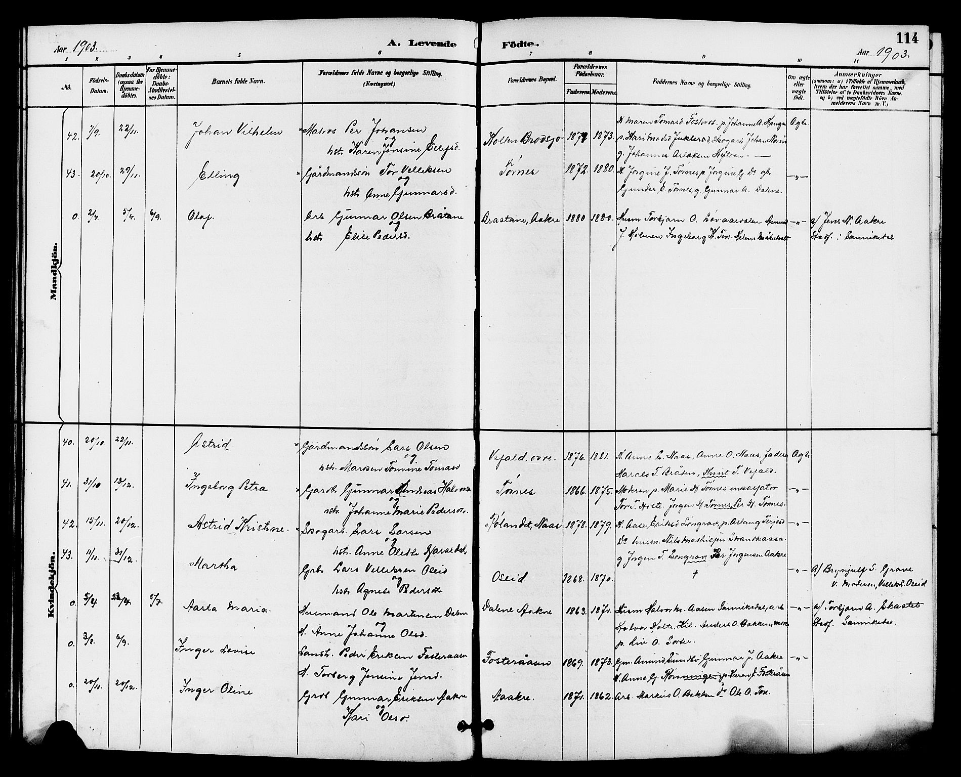 Drangedal kirkebøker, SAKO/A-258/G/Ga/L0003: Parish register (copy) no. I 3, 1887-1906, p. 114