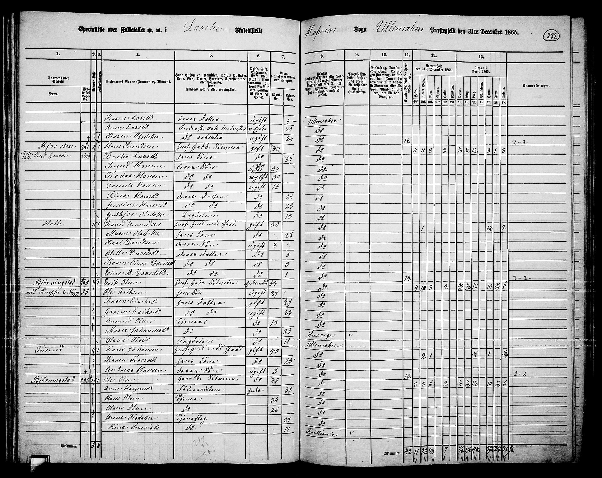 RA, 1865 census for Ullensaker, 1865, p. 248