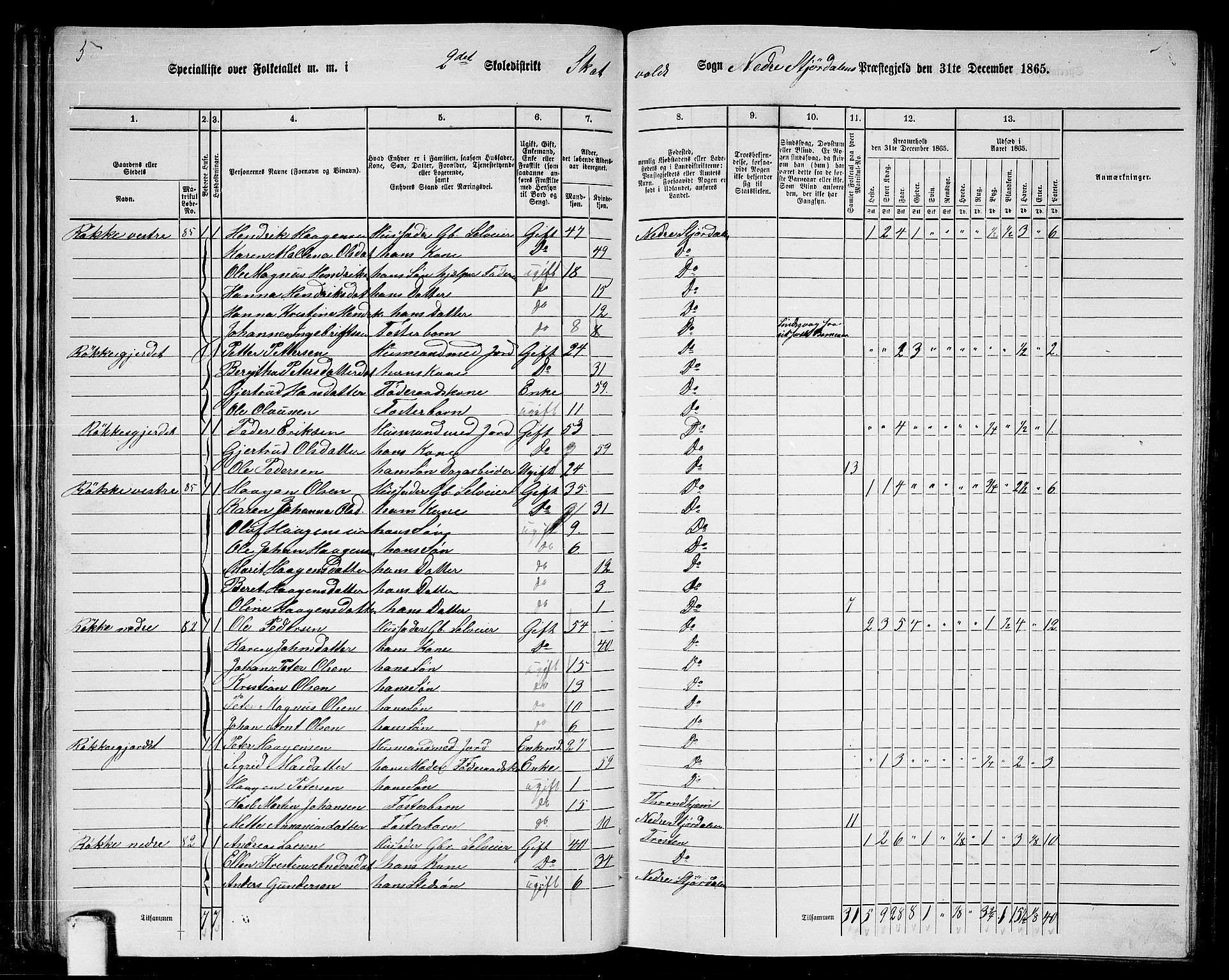 RA, 1865 census for Nedre Stjørdal, 1865, p. 40