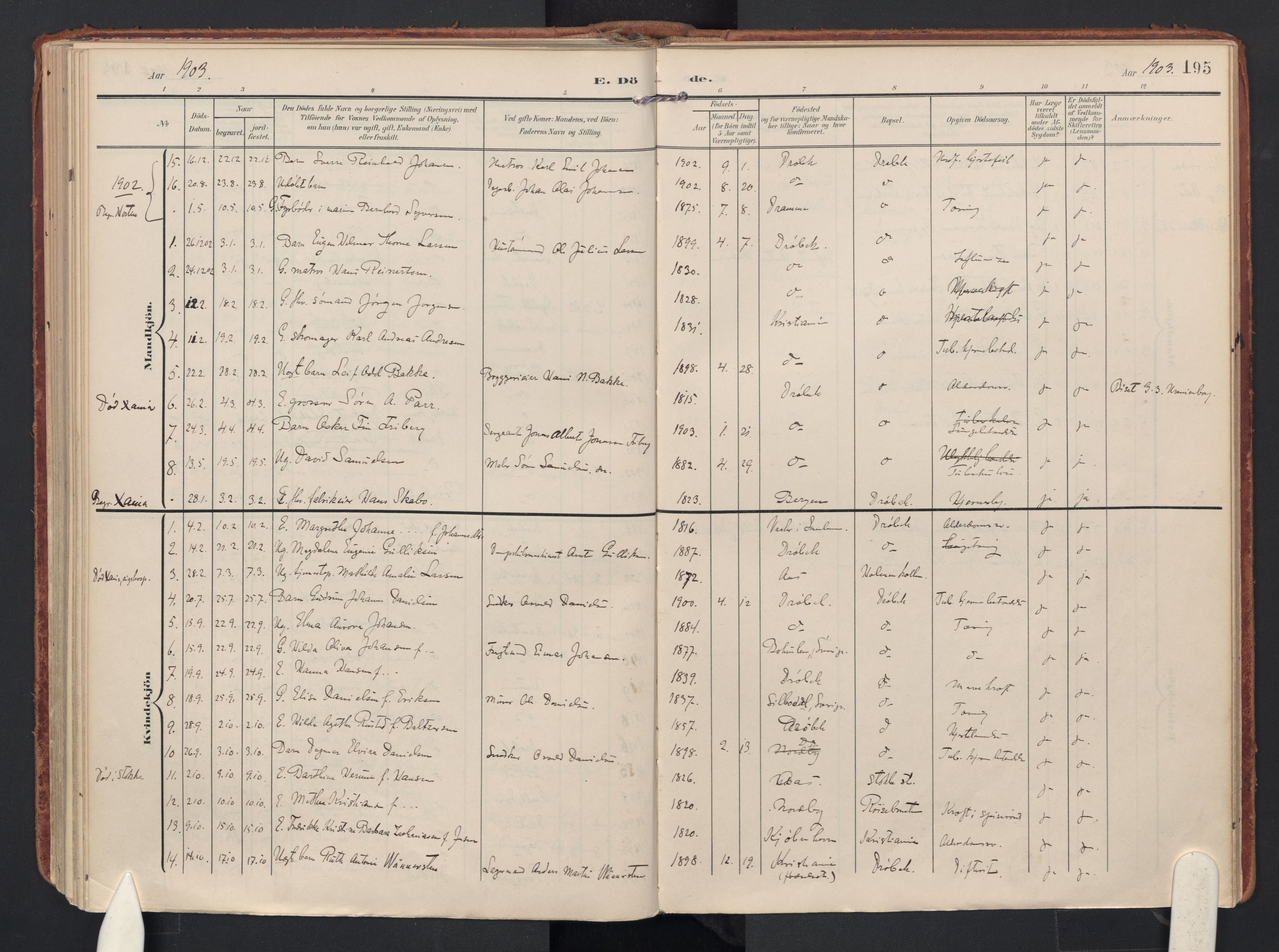 Drøbak prestekontor Kirkebøker, AV/SAO-A-10142a/F/Fb/L0003: Parish register (official) no. II 3, 1897-1918, p. 195