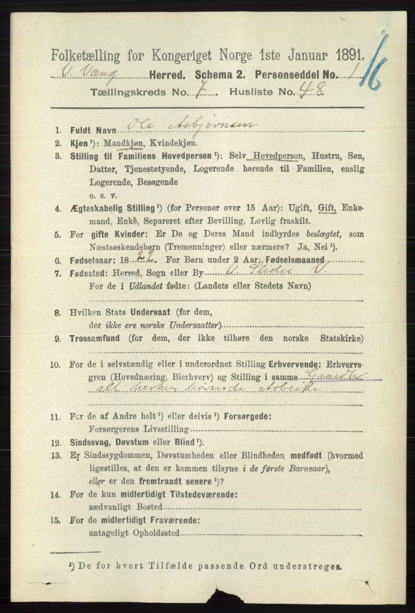 RA, 1891 census for 0545 Vang, 1891, p. 1707