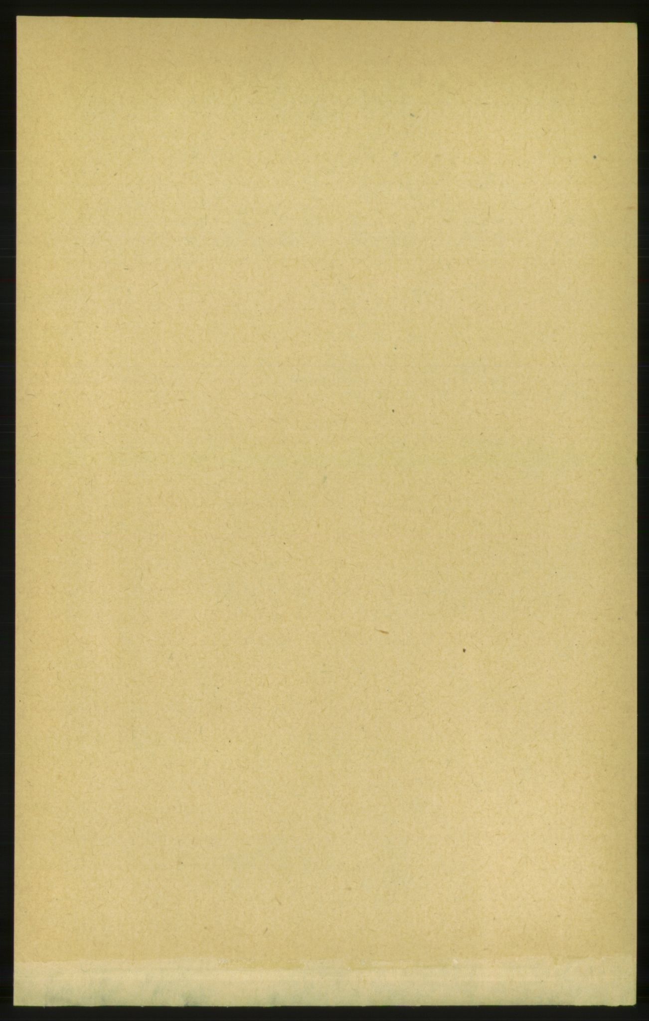 RA, 1891 census for 1556 Frei, 1891, p. 725