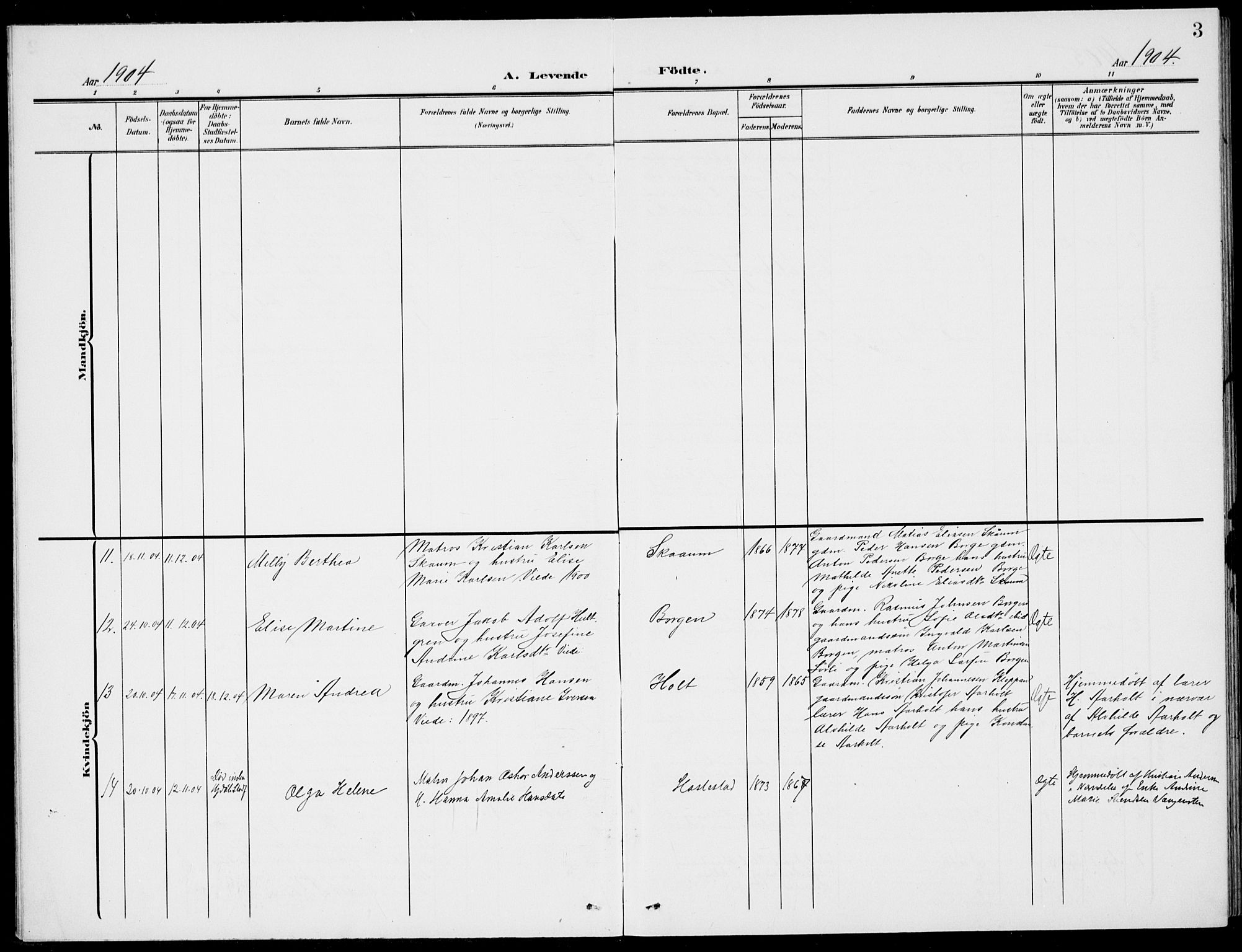 Stokke kirkebøker, AV/SAKO-A-320/G/Gc/L0001: Parish register (copy) no. III 1, 1904-1935, p. 3