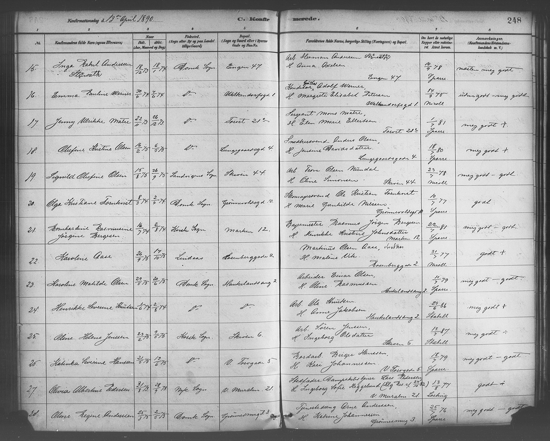 Domkirken sokneprestembete, AV/SAB-A-74801/H/Haa/L0030: Parish register (official) no. C 5, 1880-1898, p. 248