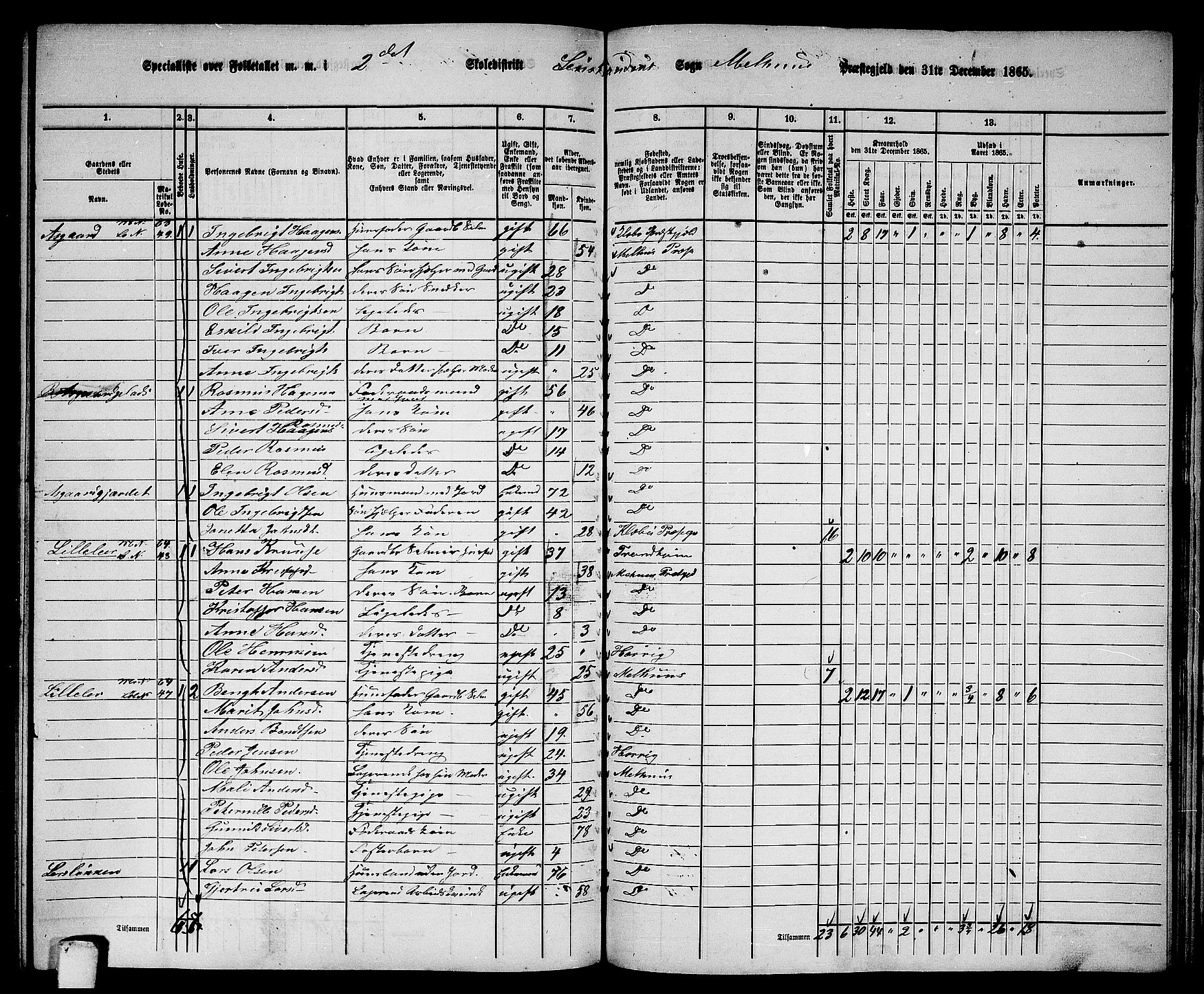 RA, 1865 census for Melhus, 1865, p. 226