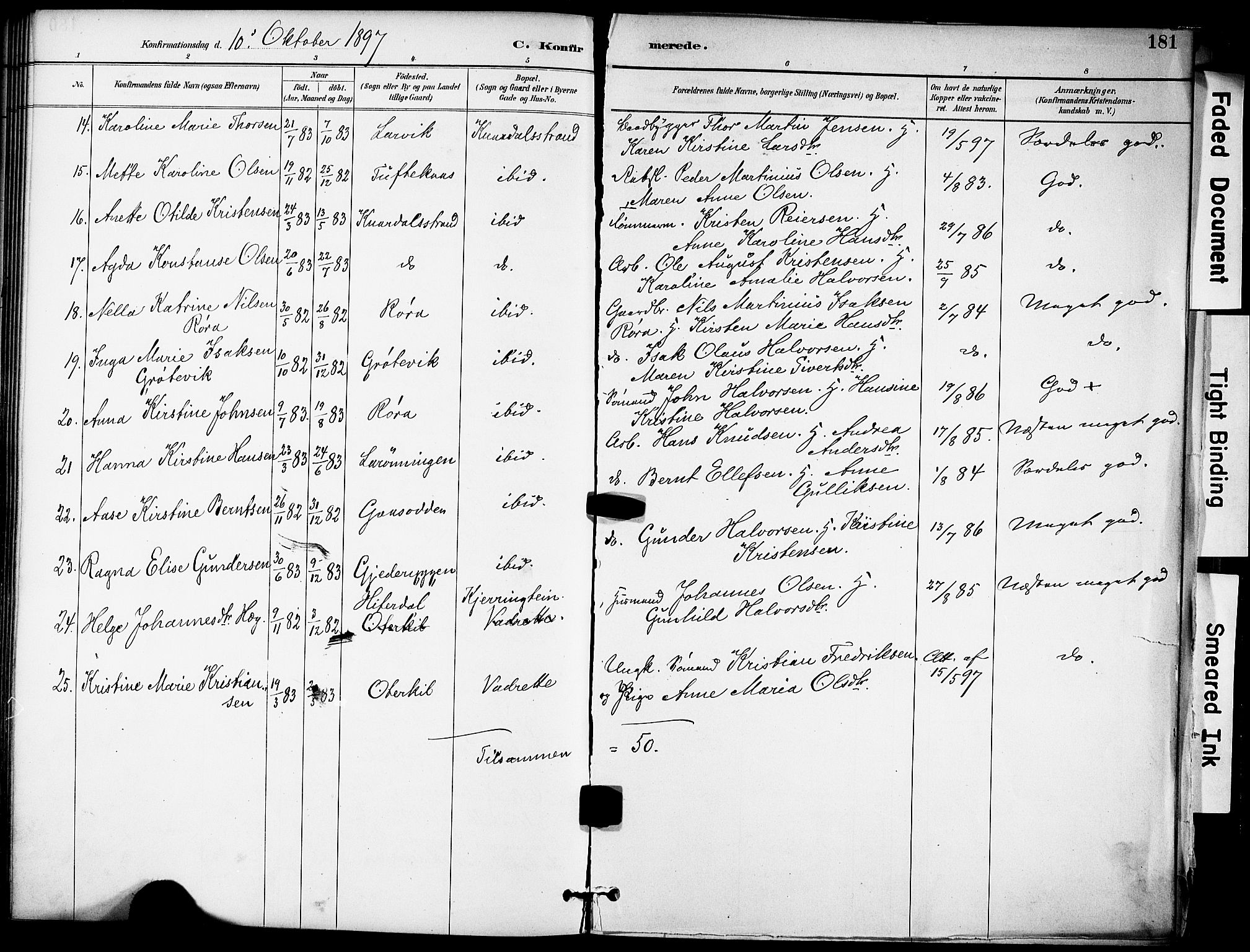 Solum kirkebøker, AV/SAKO-A-306/F/Fa/L0010: Parish register (official) no. I 10, 1888-1898, p. 181