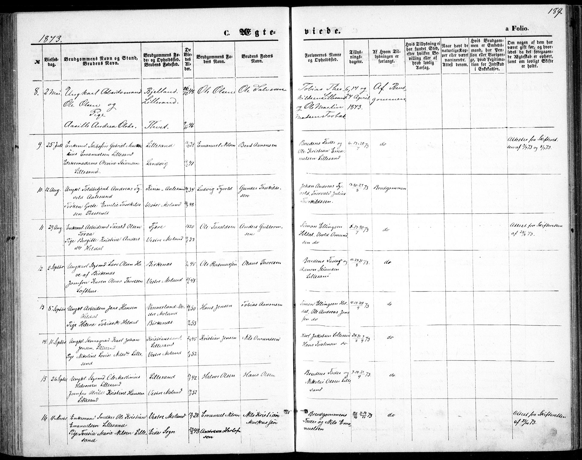 Vestre Moland sokneprestkontor, SAK/1111-0046/F/Fb/Fbb/L0005: Parish register (copy) no. B 5, 1872-1883, p. 189