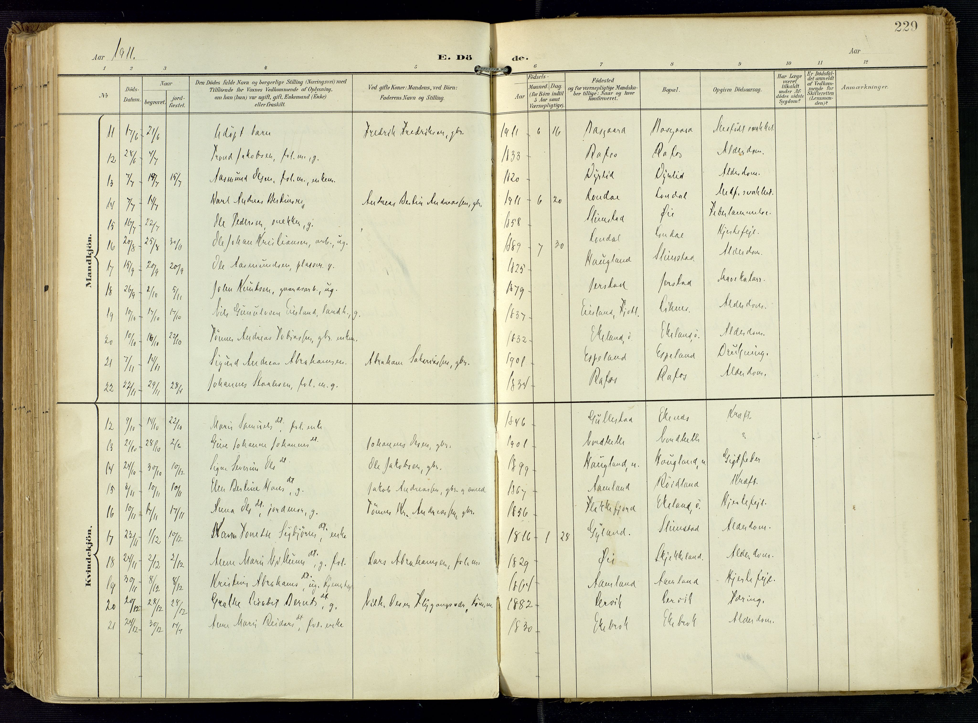 Kvinesdal sokneprestkontor, AV/SAK-1111-0026/F/Fa/Fab/L0009: Parish register (official) no. A 9, 1898-1915, p. 229