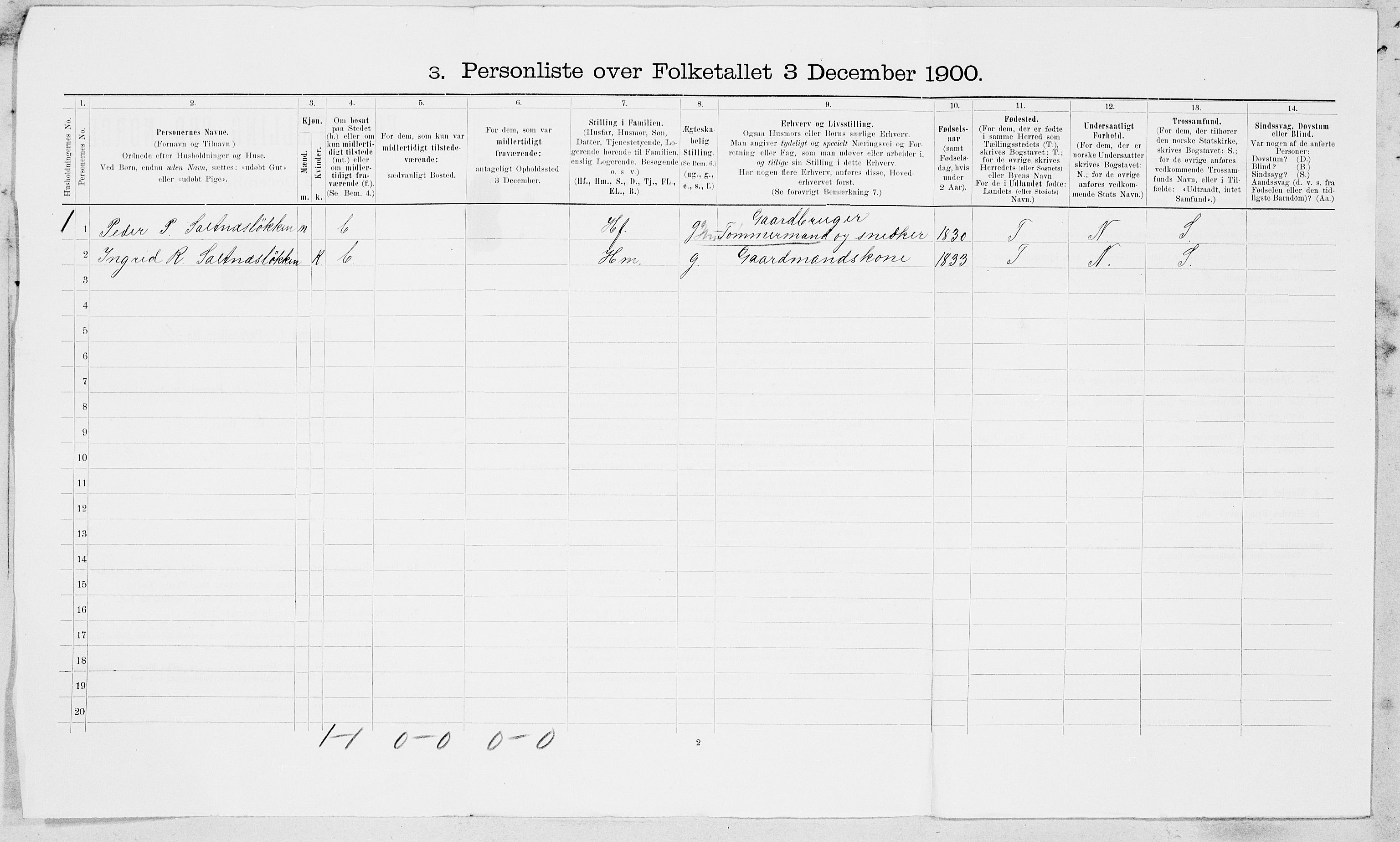 SAT, 1900 census for Buvik, 1900, p. 11