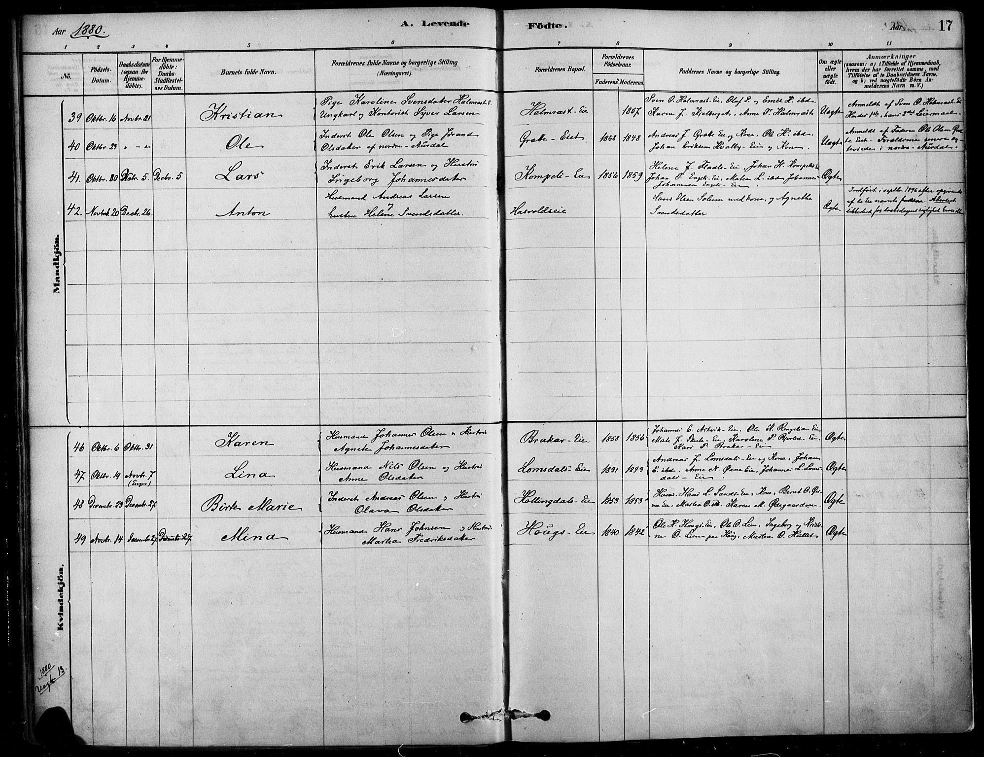 Søndre Land prestekontor, SAH/PREST-122/K/L0003: Parish register (official) no. 3, 1878-1894, p. 17