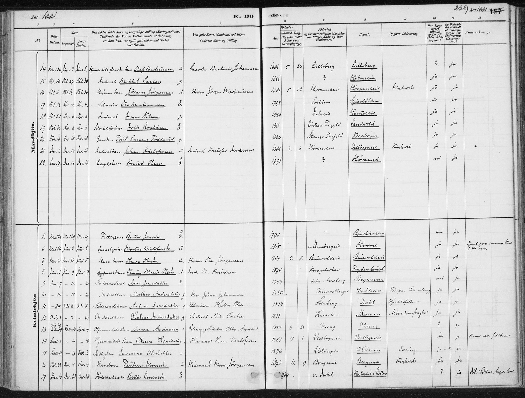 Romedal prestekontor, SAH/PREST-004/K/L0010: Parish register (official) no. 10, 1880-1895, p. 229