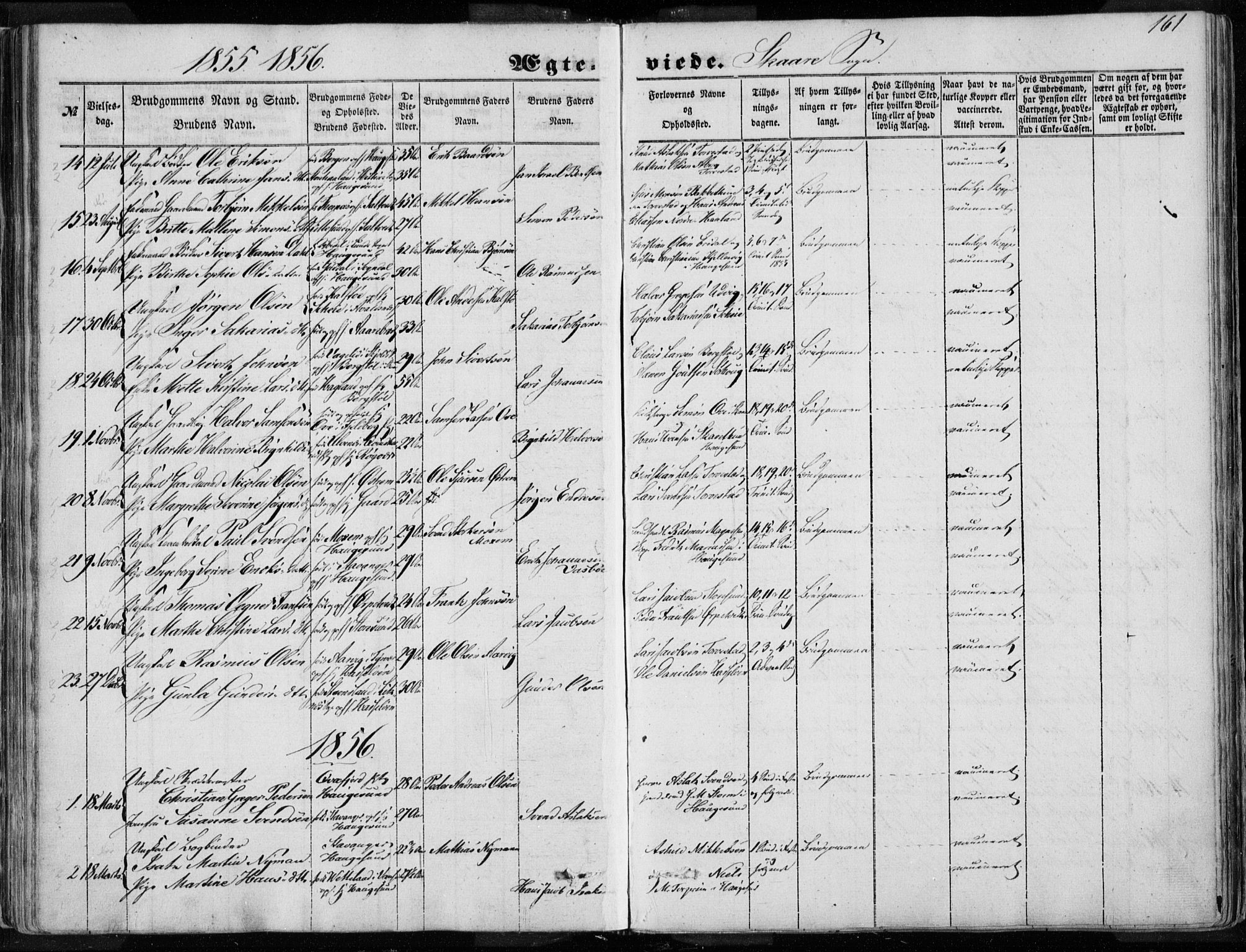 Torvastad sokneprestkontor, SAST/A -101857/H/Ha/Haa/L0009: Parish register (official) no. A 9, 1847-1856, p. 161
