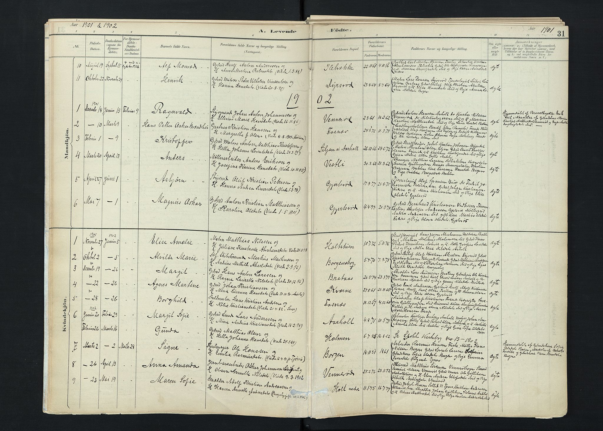 Stokke kirkebøker, SAKO/A-320/F/Fc/L0001: Parish register (official) no. III 1, 1884-1910, p. 31