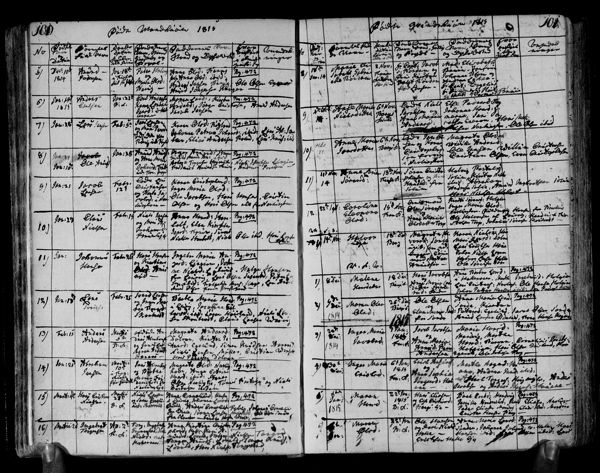 Brunlanes kirkebøker, SAKO/A-342/F/Fa/L0002: Parish register (official) no. I 2, 1802-1834, p. 100-101