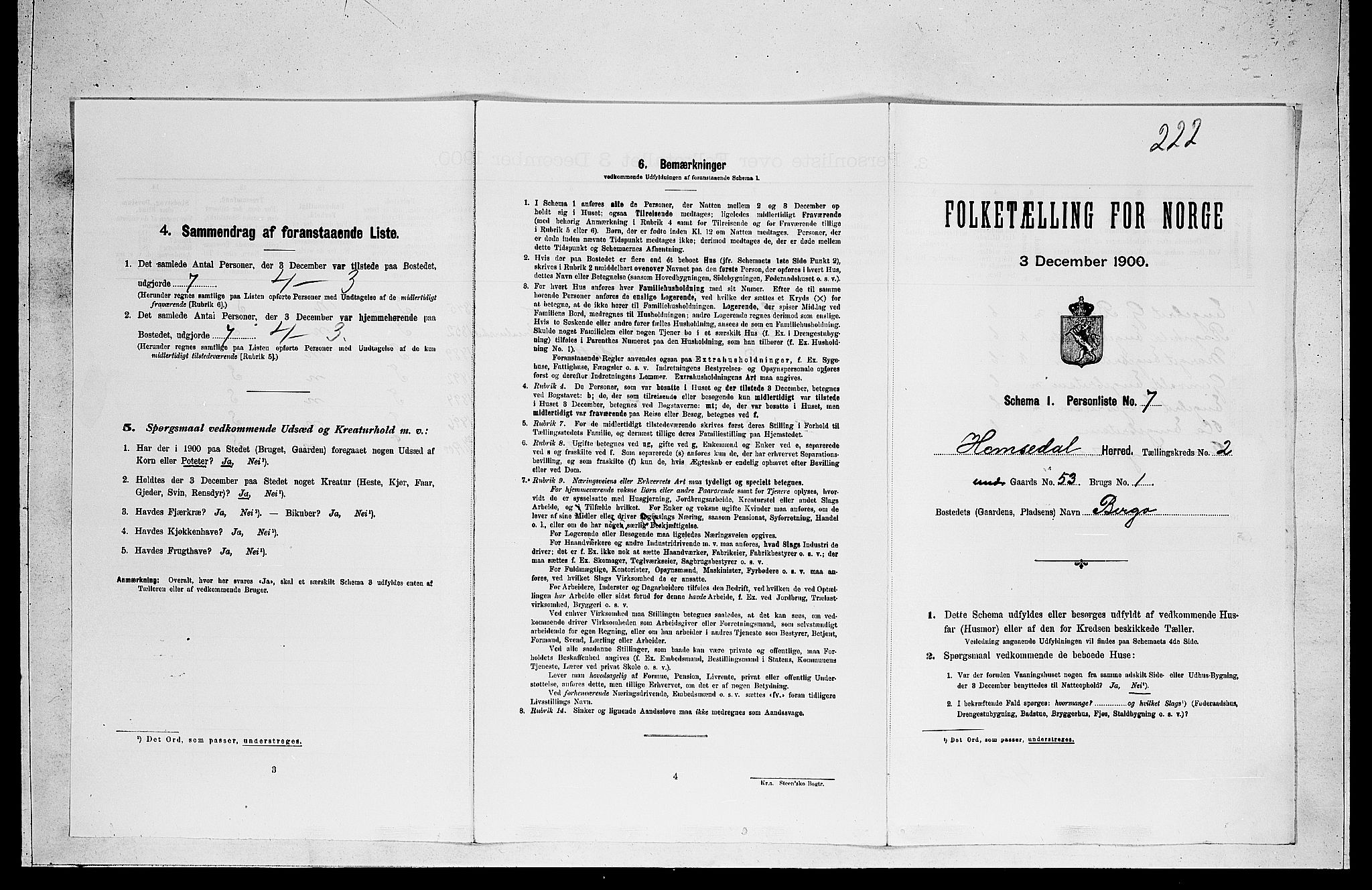 RA, 1900 census for Hemsedal, 1900, p. 107