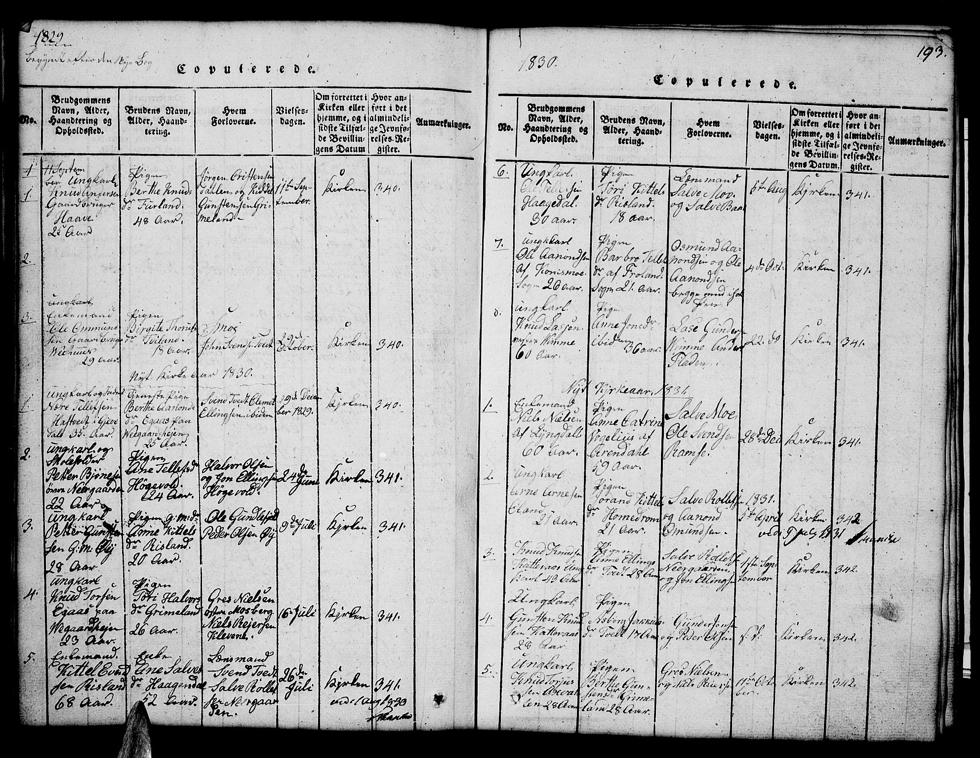 Åmli sokneprestkontor, SAK/1111-0050/F/Fb/Fbc/L0001: Parish register (copy) no. B 1, 1816-1867, p. 193
