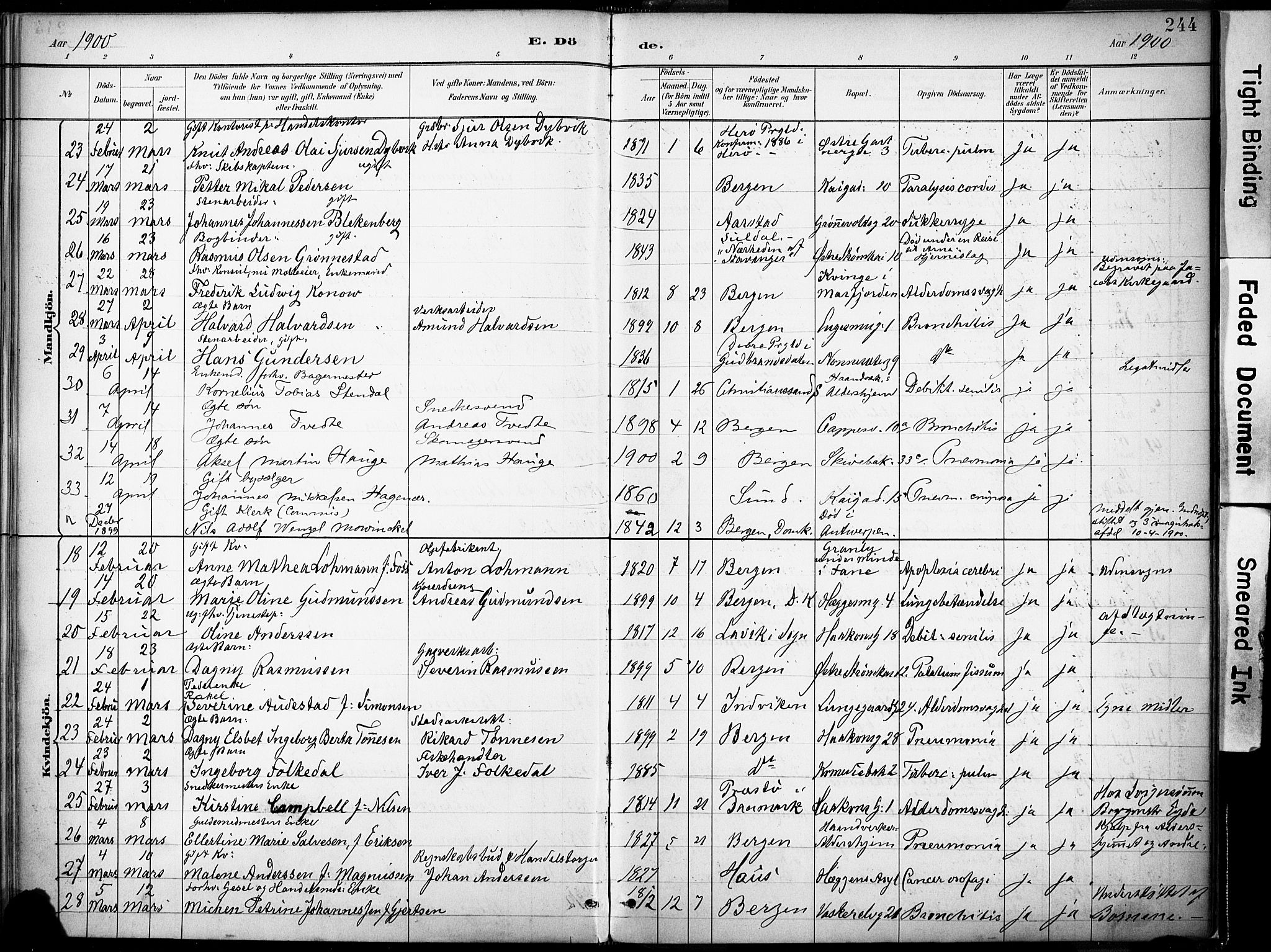 Domkirken sokneprestembete, AV/SAB-A-74801/H/Haa/L0043: Parish register (official) no. E 5, 1882-1904, p. 244