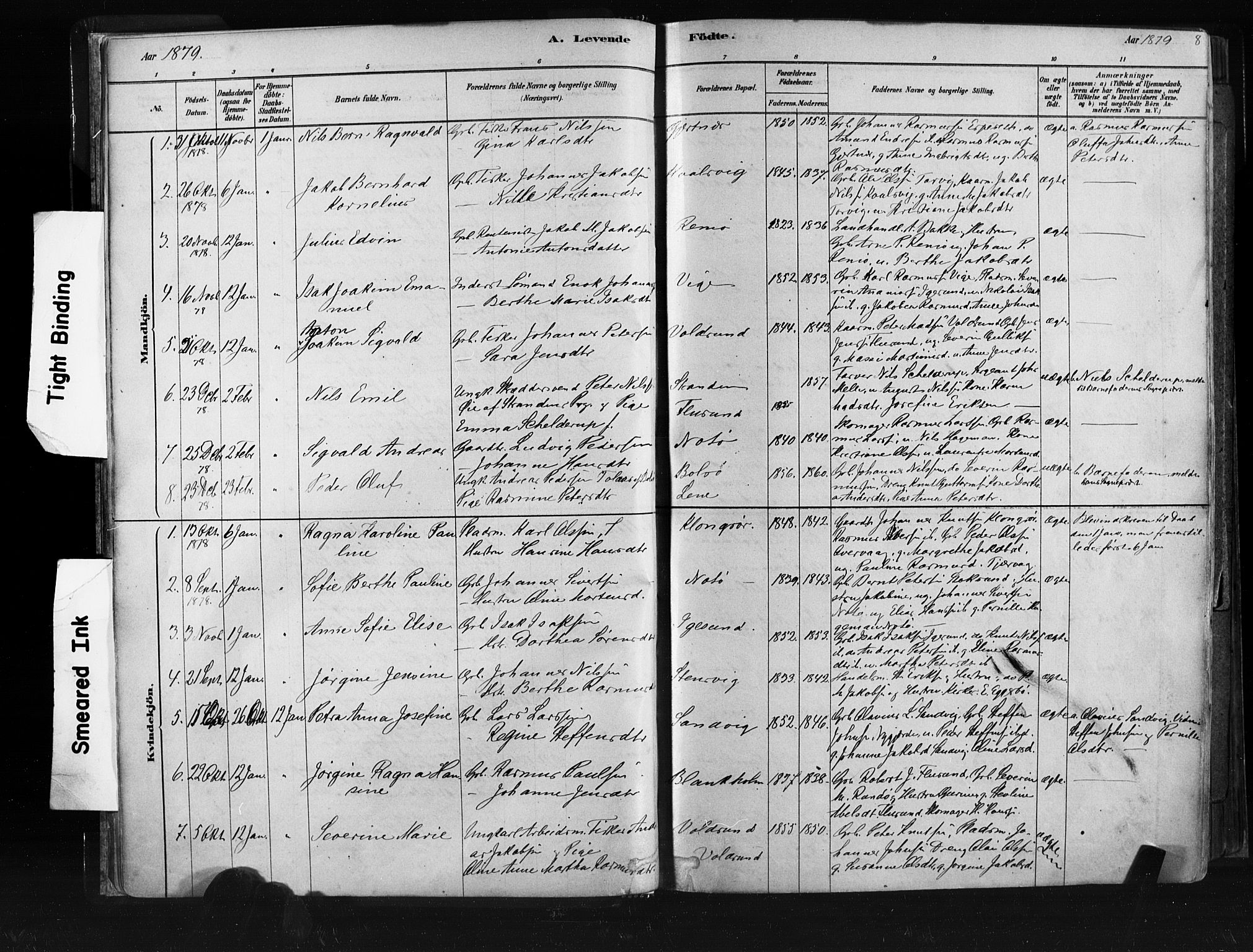 Ministerialprotokoller, klokkerbøker og fødselsregistre - Møre og Romsdal, SAT/A-1454/507/L0073: Parish register (official) no. 507A08, 1878-1904, p. 8
