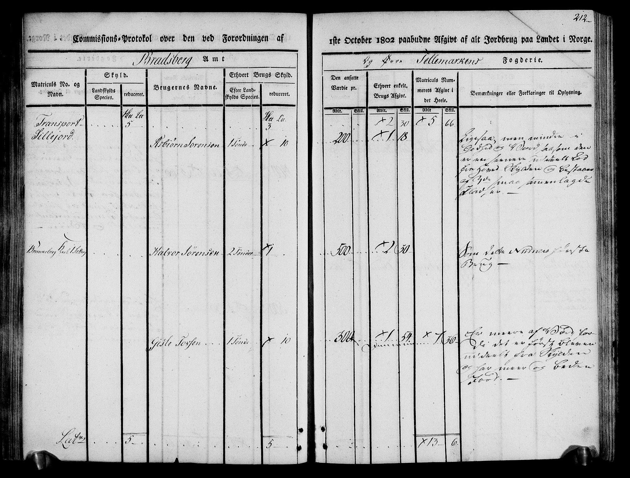 Rentekammeret inntil 1814, Realistisk ordnet avdeling, AV/RA-EA-4070/N/Ne/Nea/L0074: Øvre Telemarken fogderi. Kommisjonsprotokoll for fogderiets østre del - Tinn, Hjartdal og Seljord prestegjeld., 1803, p. 212