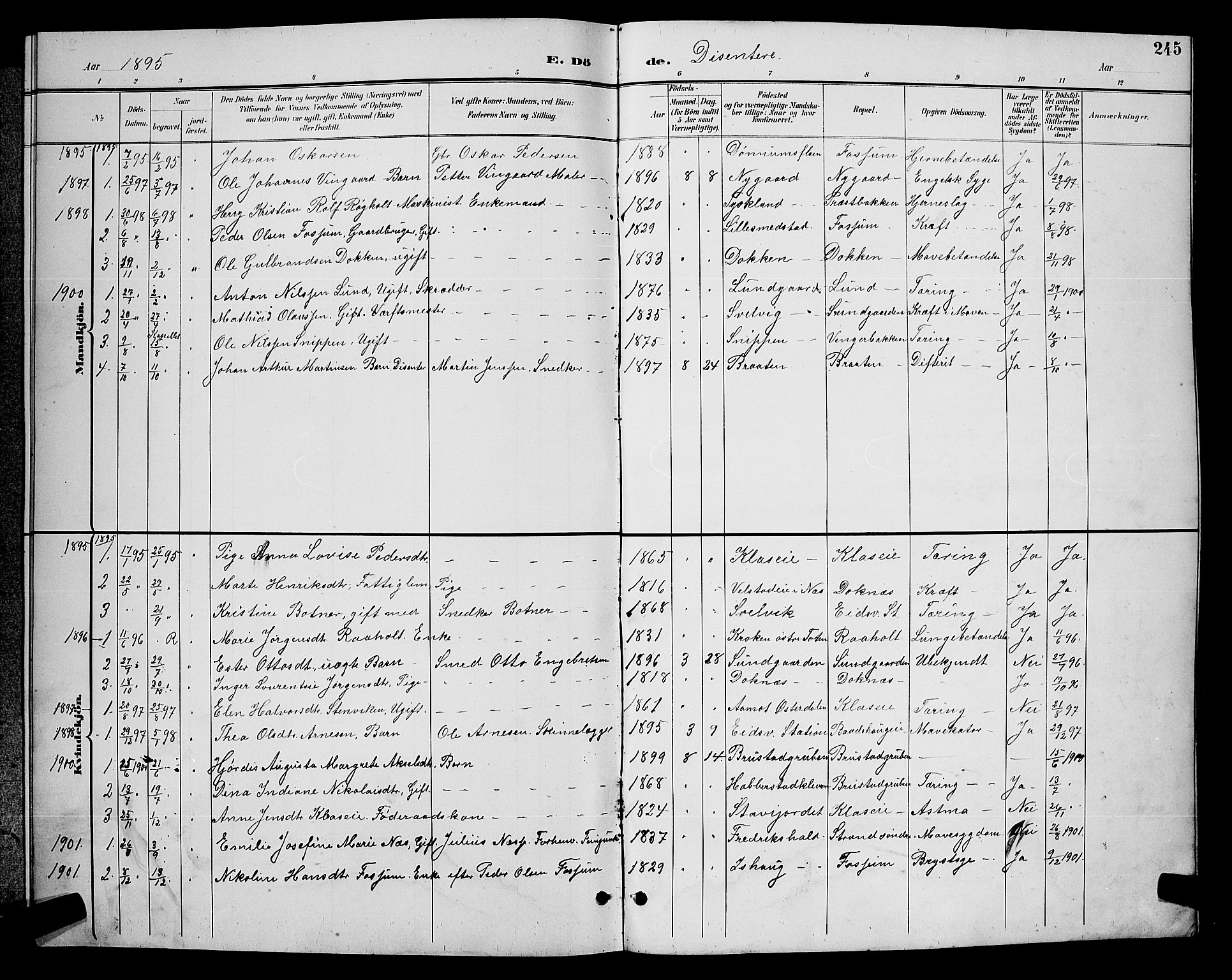 Eidsvoll prestekontor Kirkebøker, SAO/A-10888/G/Ga/L0006: Parish register (copy) no. I 6, 1895-1901, p. 245