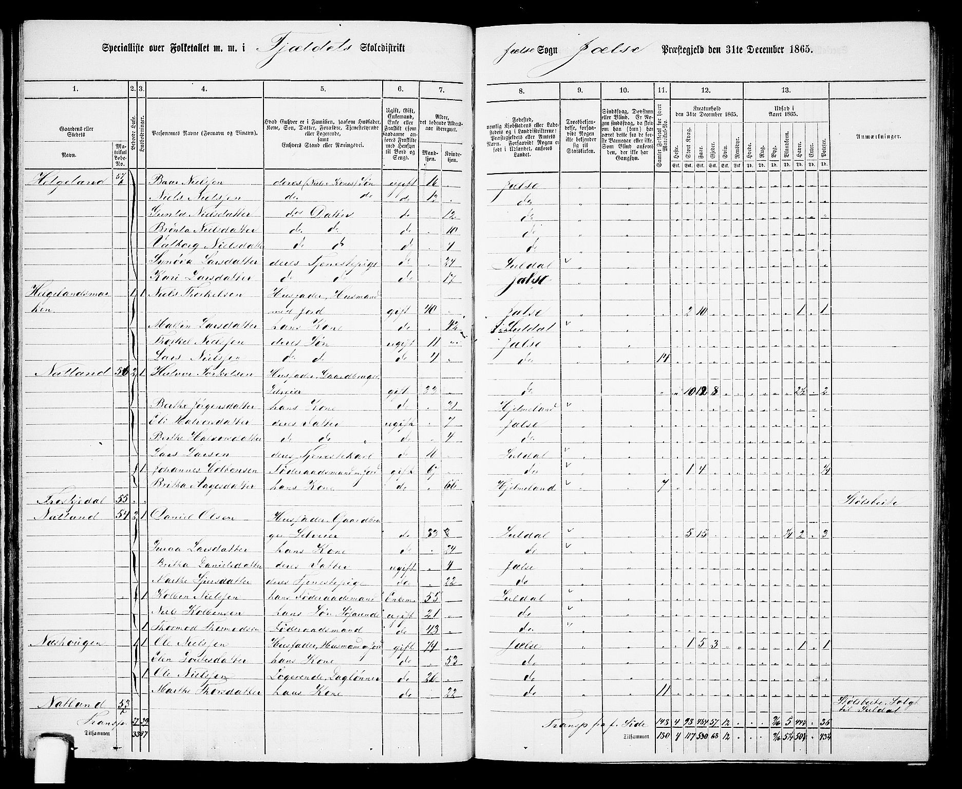 RA, 1865 census for Jelsa, 1865, p. 31