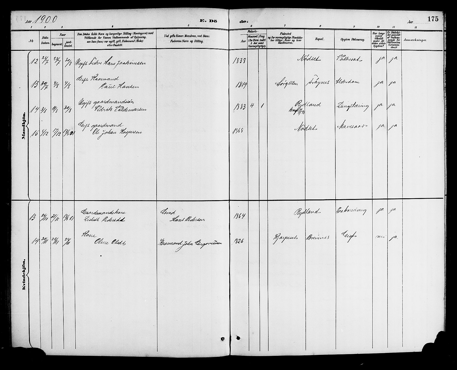 Bremanger sokneprestembete, AV/SAB-A-82201/H/Hab/Haba/L0003: Parish register (copy) no. A 3, 1890-1908, p. 175