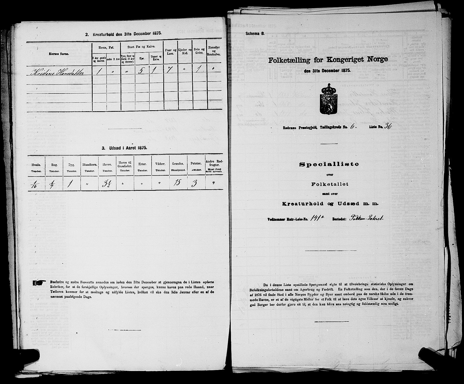 RA, 1875 census for 0120P Rødenes, 1875, p. 818
