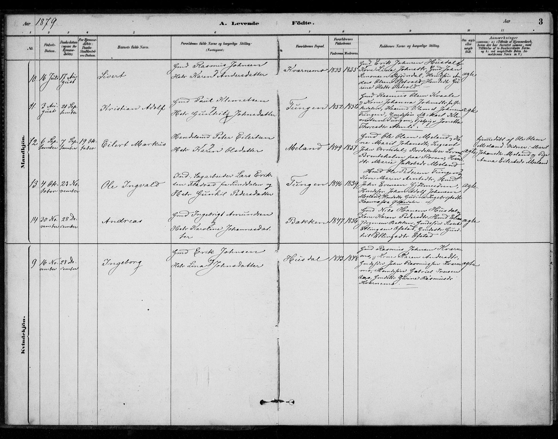 Ministerialprotokoller, klokkerbøker og fødselsregistre - Sør-Trøndelag, SAT/A-1456/670/L0836: Parish register (official) no. 670A01, 1879-1904, p. 3