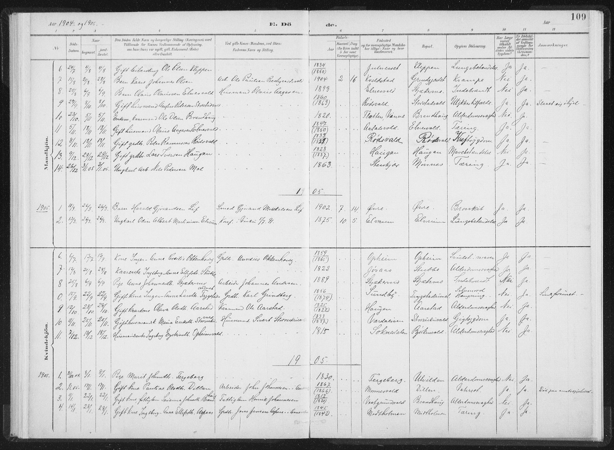 Ministerialprotokoller, klokkerbøker og fødselsregistre - Nord-Trøndelag, SAT/A-1458/724/L0263: Parish register (official) no. 724A01, 1891-1907, p. 109