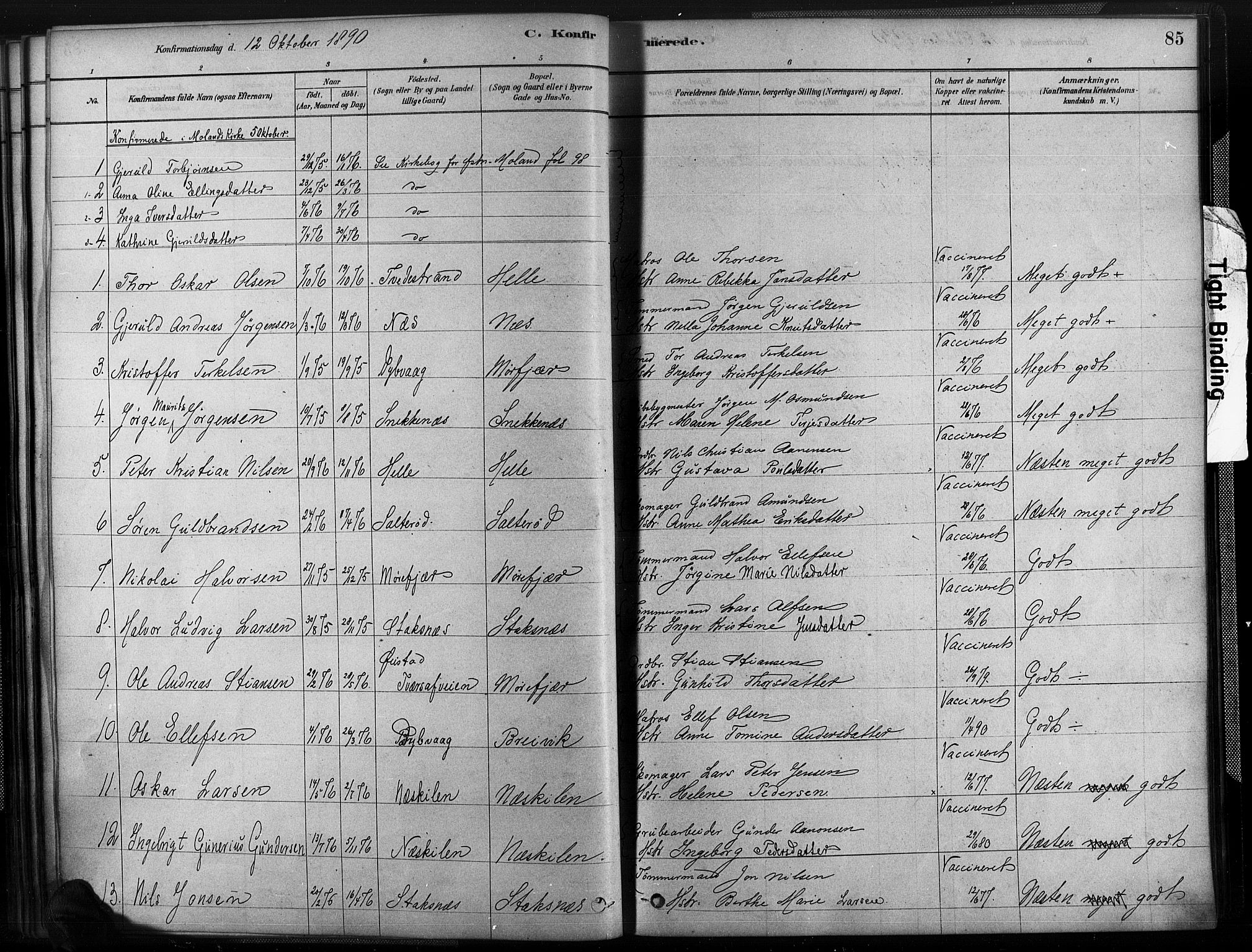 Austre Moland sokneprestkontor, SAK/1111-0001/F/Fa/Fab/L0001: Parish register (official) no. A 1, 1878-1898, p. 85