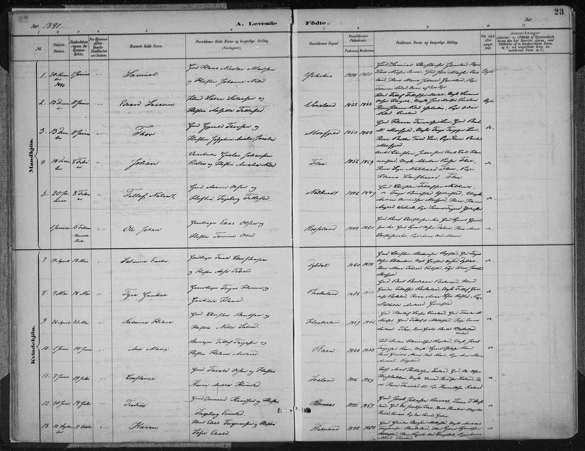 Birkenes sokneprestkontor, SAK/1111-0004/F/Fa/L0005: Parish register (official) no. A 5, 1887-1907, p. 23