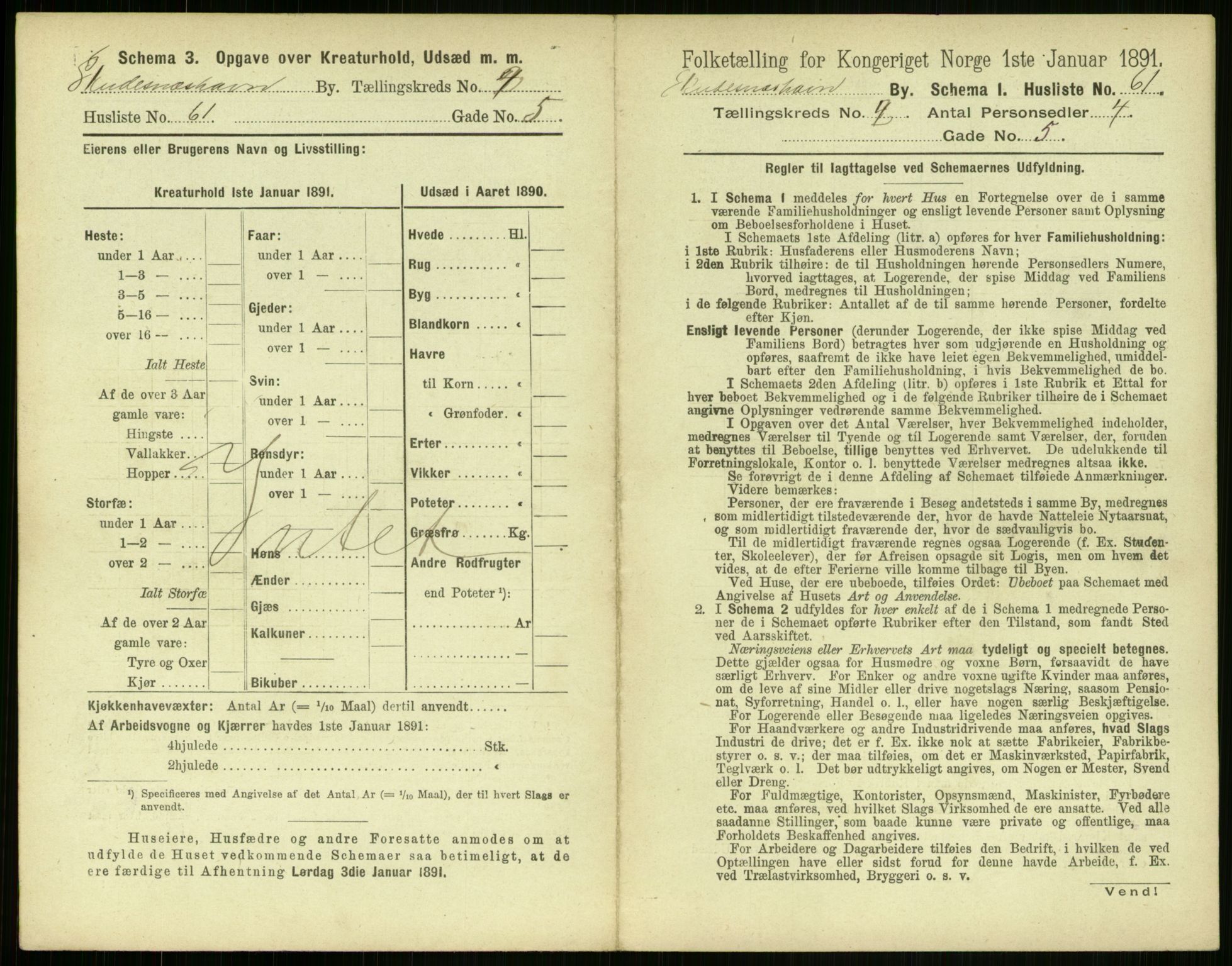 RA, 1891 census for 1104 Skudeneshavn, 1891, p. 180