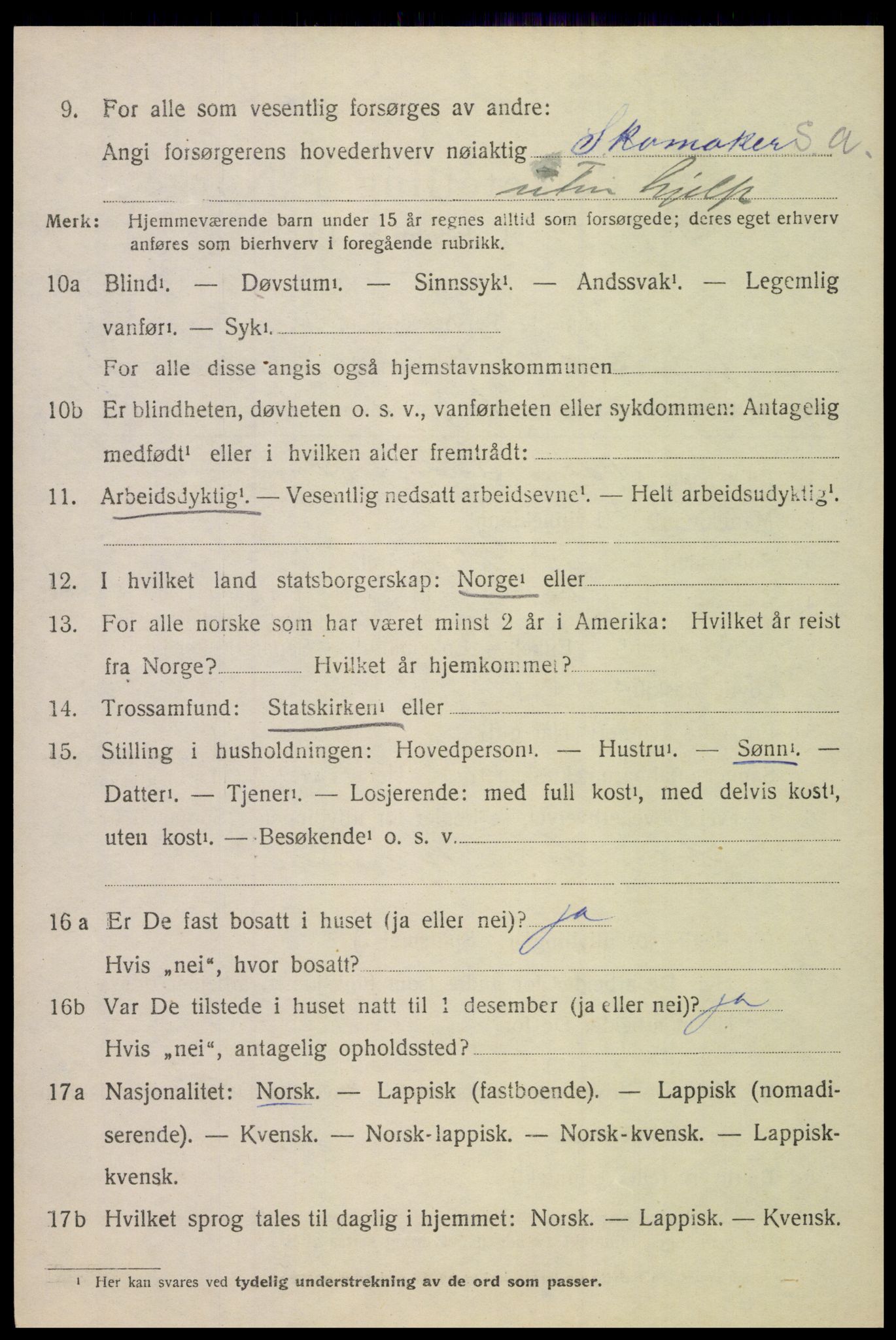 SAT, 1920 census for Lødingen, 1920, p. 2024