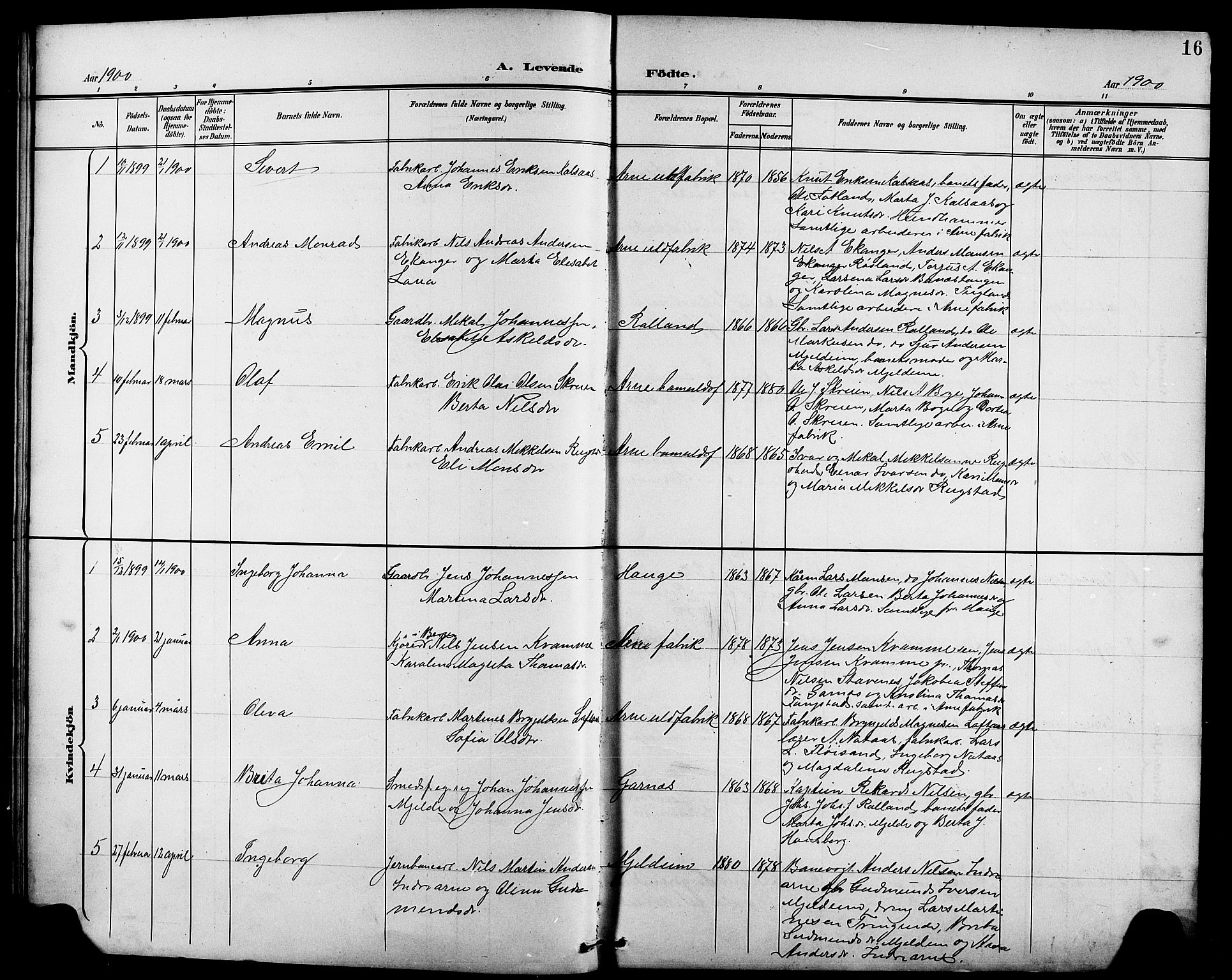Arna Sokneprestembete, SAB/A-74001/H/Ha/Hab: Parish register (copy) no. A 4, 1898-1910, p. 16