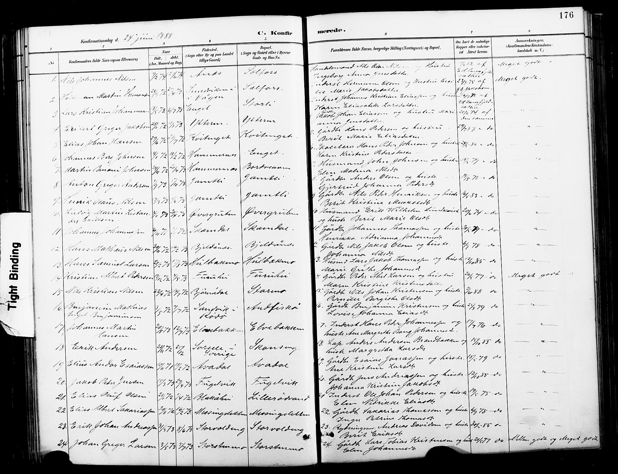 Ministerialprotokoller, klokkerbøker og fødselsregistre - Nordland, AV/SAT-A-1459/827/L0421: Parish register (copy) no. 827C10, 1887-1906, p. 176