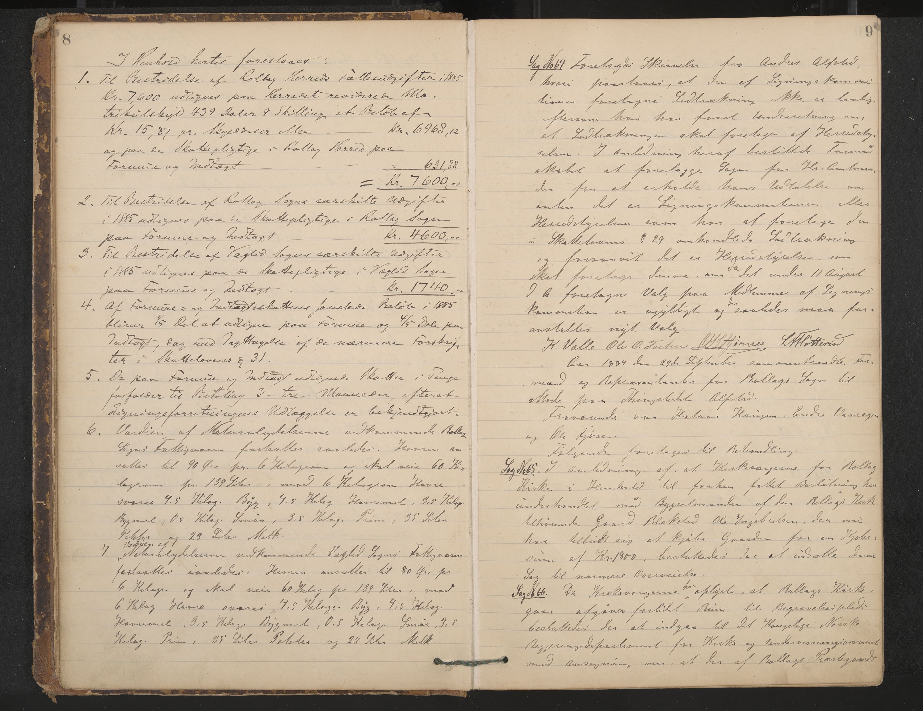 Rollag formannskap og sentraladministrasjon, IKAK/0632021-2/A/Aa/L0003: Møtebok, 1884-1897, p. 8-9