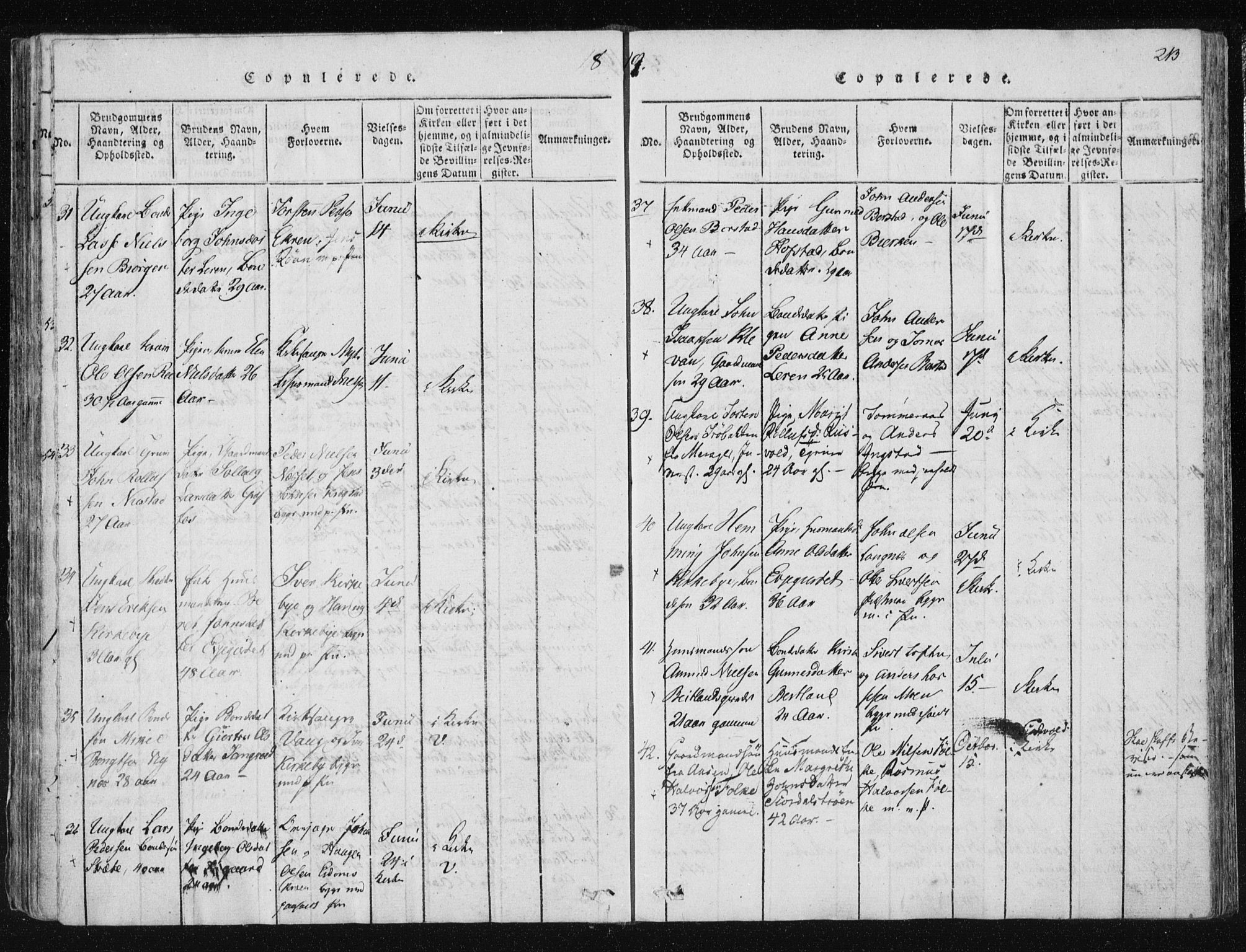 Ministerialprotokoller, klokkerbøker og fødselsregistre - Nord-Trøndelag, AV/SAT-A-1458/709/L0061: Parish register (official) no. 709A08 /1, 1815-1819, p. 213