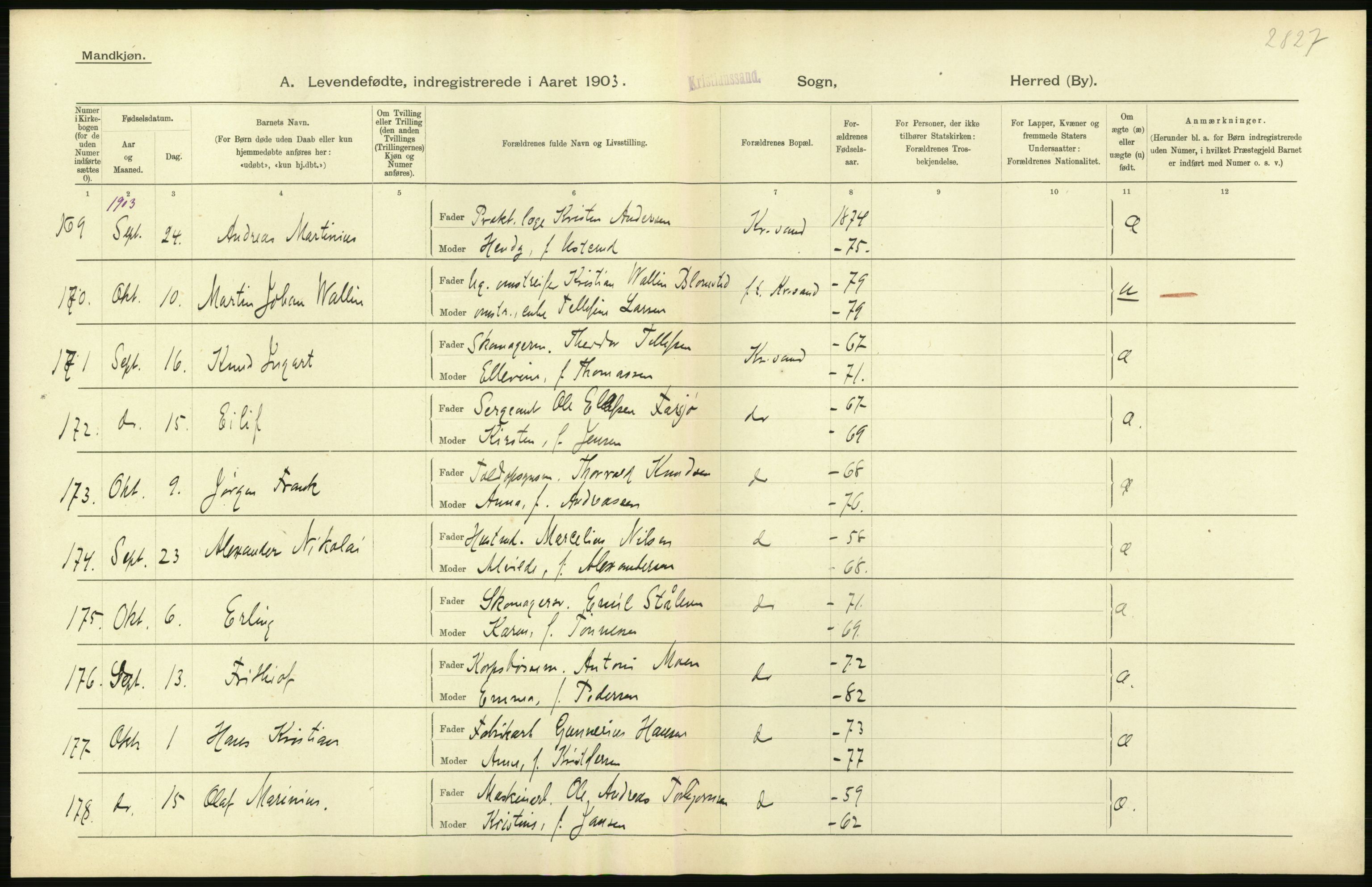 Statistisk sentralbyrå, Sosiodemografiske emner, Befolkning, AV/RA-S-2228/D/Df/Dfa/Dfaa/L0011: Lister og Mandal amt: Fødte, gifte, døde, 1903, p. 238