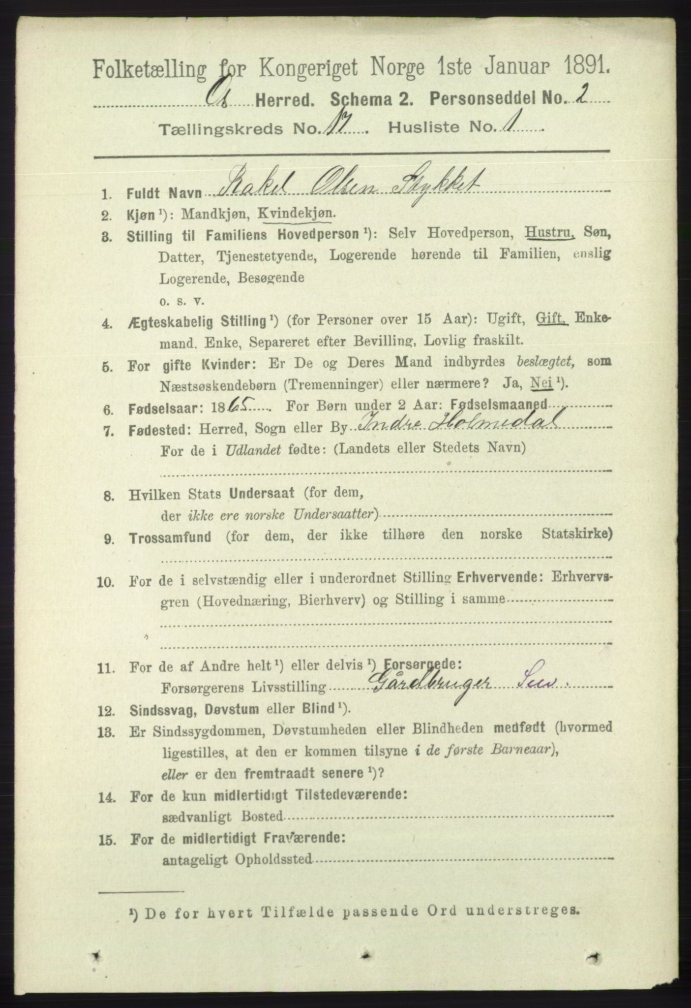 RA, 1891 census for 1243 Os, 1891, p. 3719