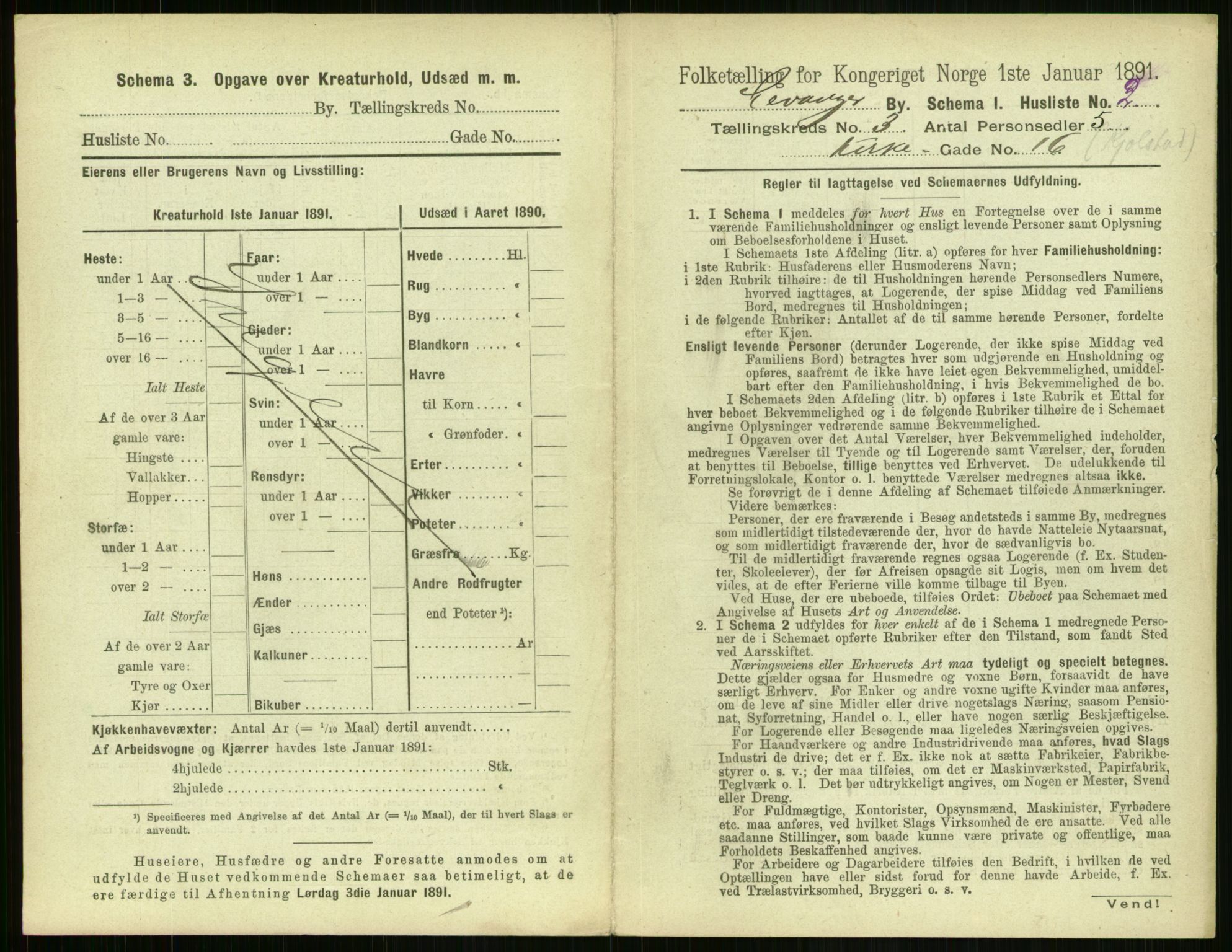 RA, 1891 census for 1701 Levanger, 1891, p. 825