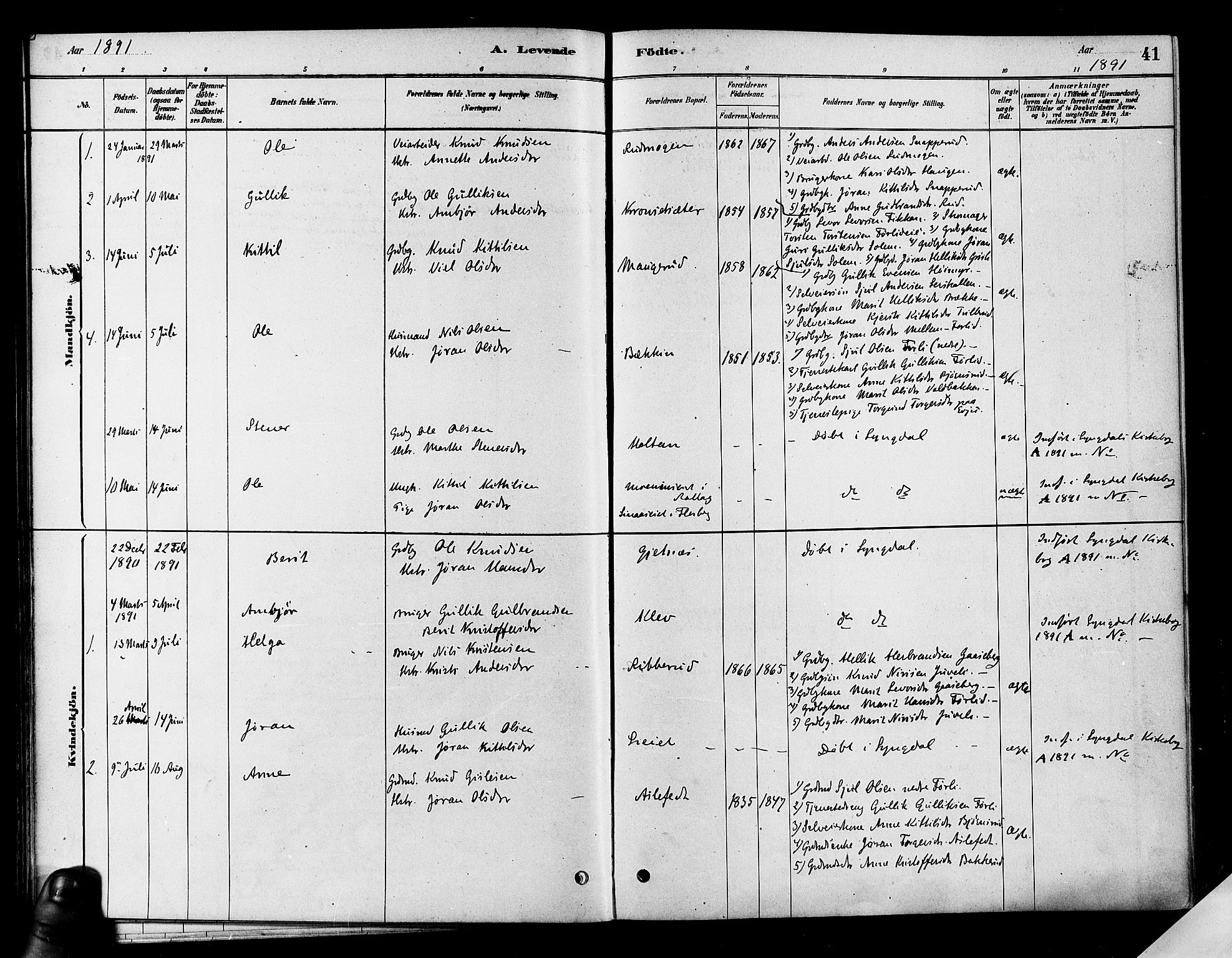 Flesberg kirkebøker, AV/SAKO-A-18/F/Fa/L0008: Parish register (official) no. I 8, 1879-1899, p. 41