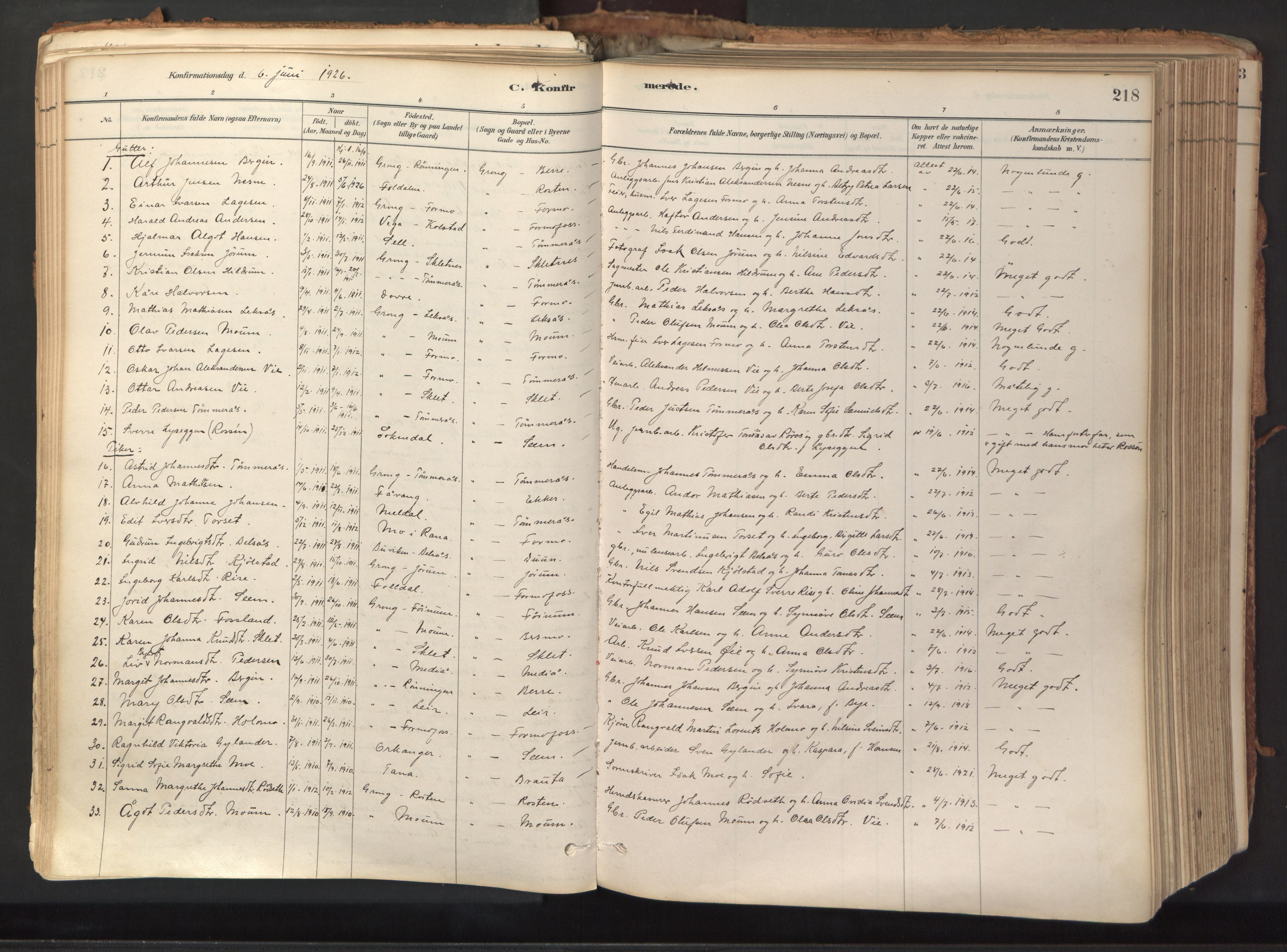 Ministerialprotokoller, klokkerbøker og fødselsregistre - Nord-Trøndelag, SAT/A-1458/758/L0519: Parish register (official) no. 758A04, 1880-1926, p. 218