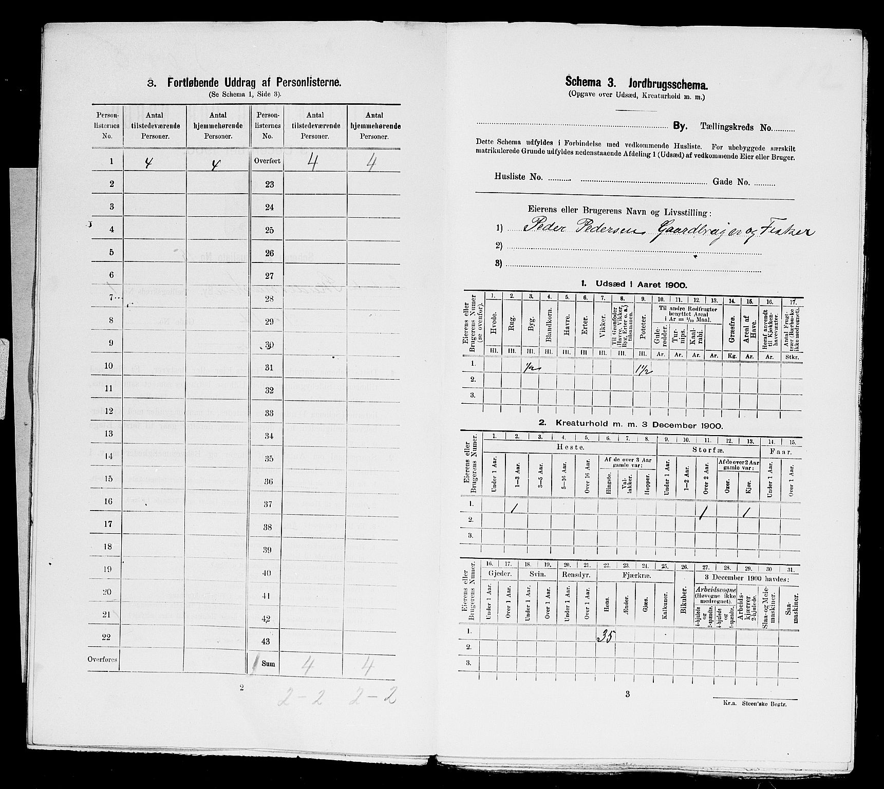 SAST, 1900 census for Skudeneshavn, 1900, p. 27