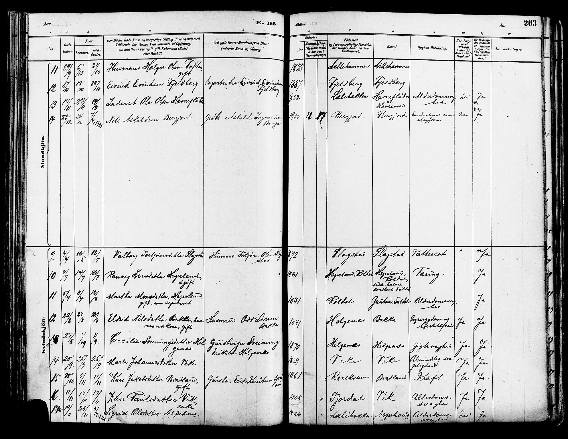 Suldal sokneprestkontor, AV/SAST-A-101845/01/IV/L0011: Parish register (official) no. A 11, 1878-1900, p. 263