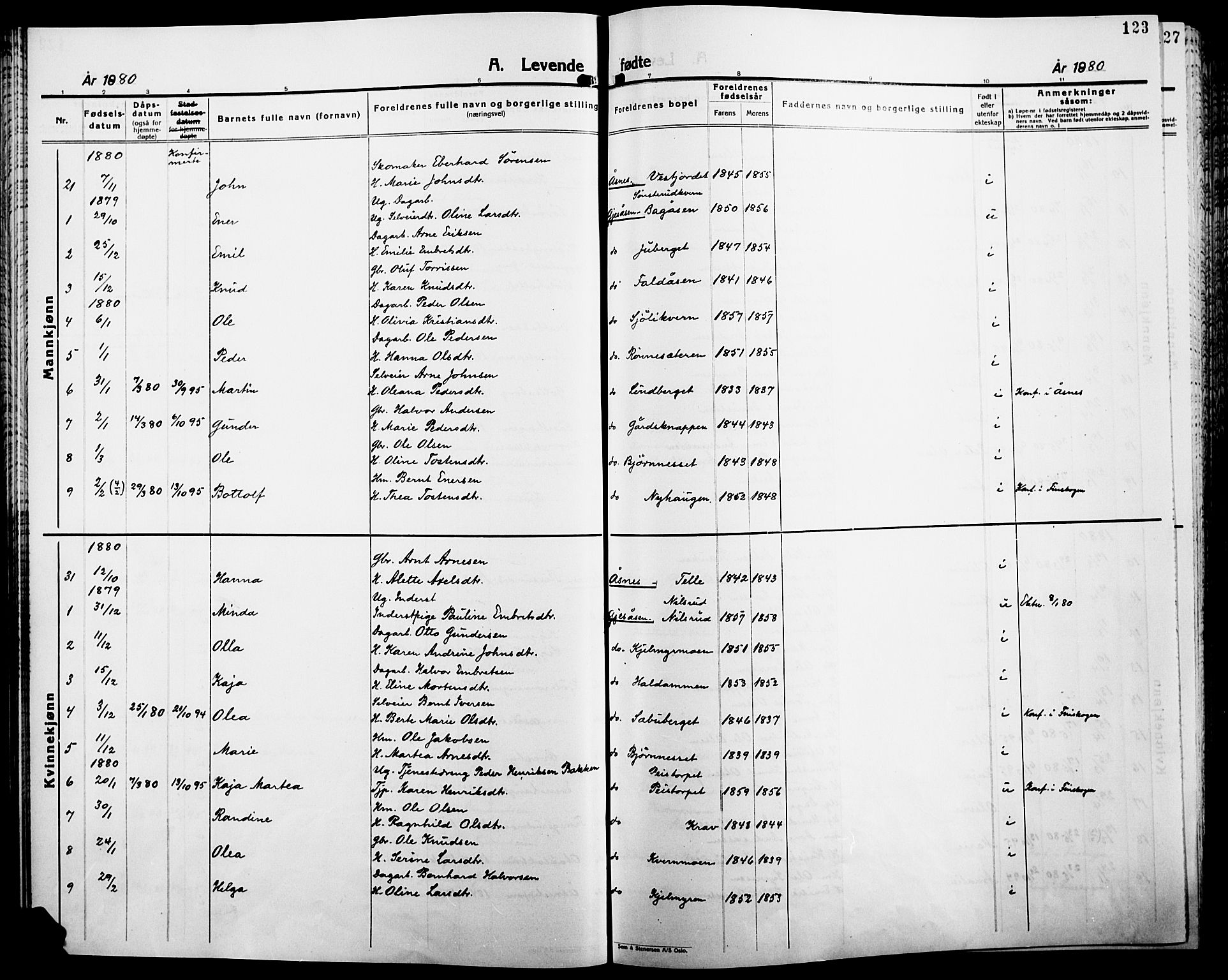 Åsnes prestekontor, AV/SAH-PREST-042/H/Ha/Haa/L0000B: Parish register (official), 1870-1889, p. 123