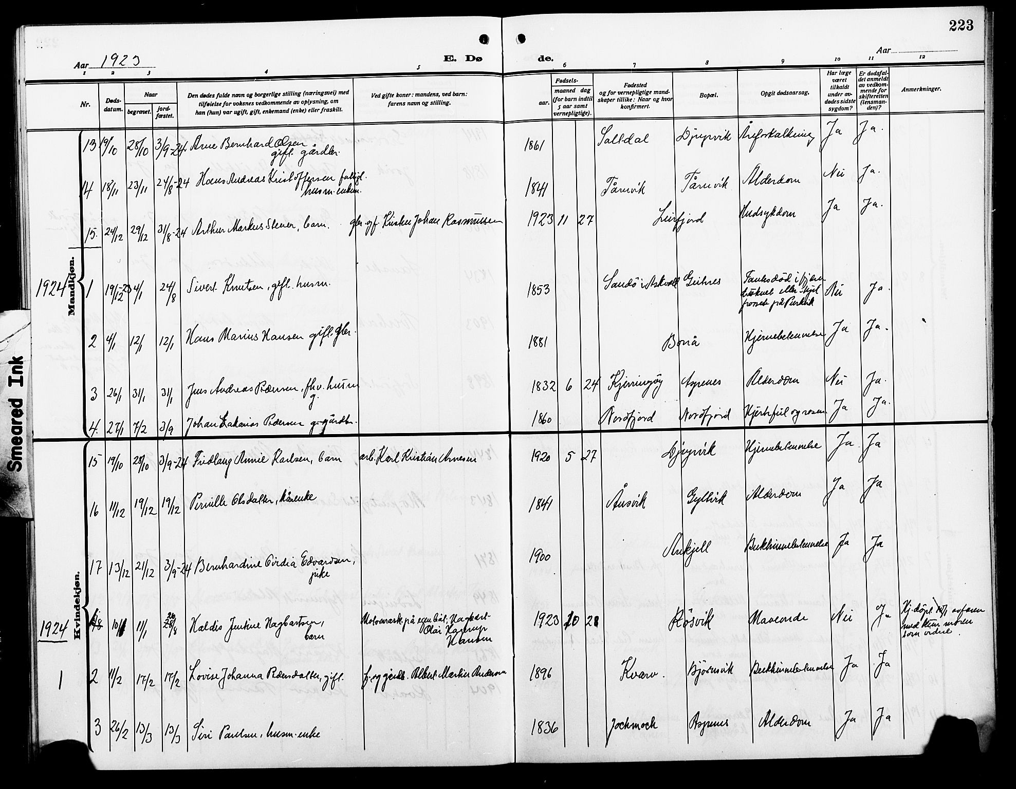 Ministerialprotokoller, klokkerbøker og fødselsregistre - Nordland, AV/SAT-A-1459/854/L0787: Parish register (copy) no. 854C03, 1913-1926, p. 223