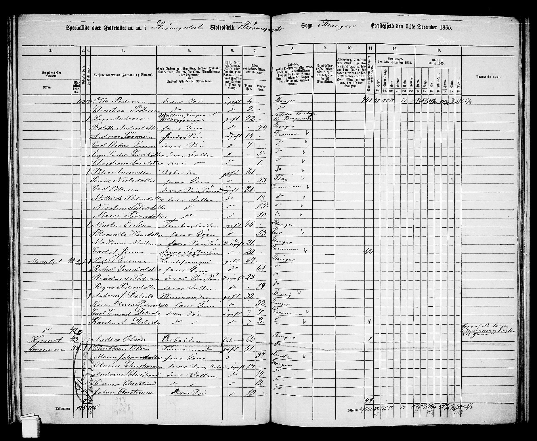 RA, 1865 census for Skoger, 1865, p. 149
