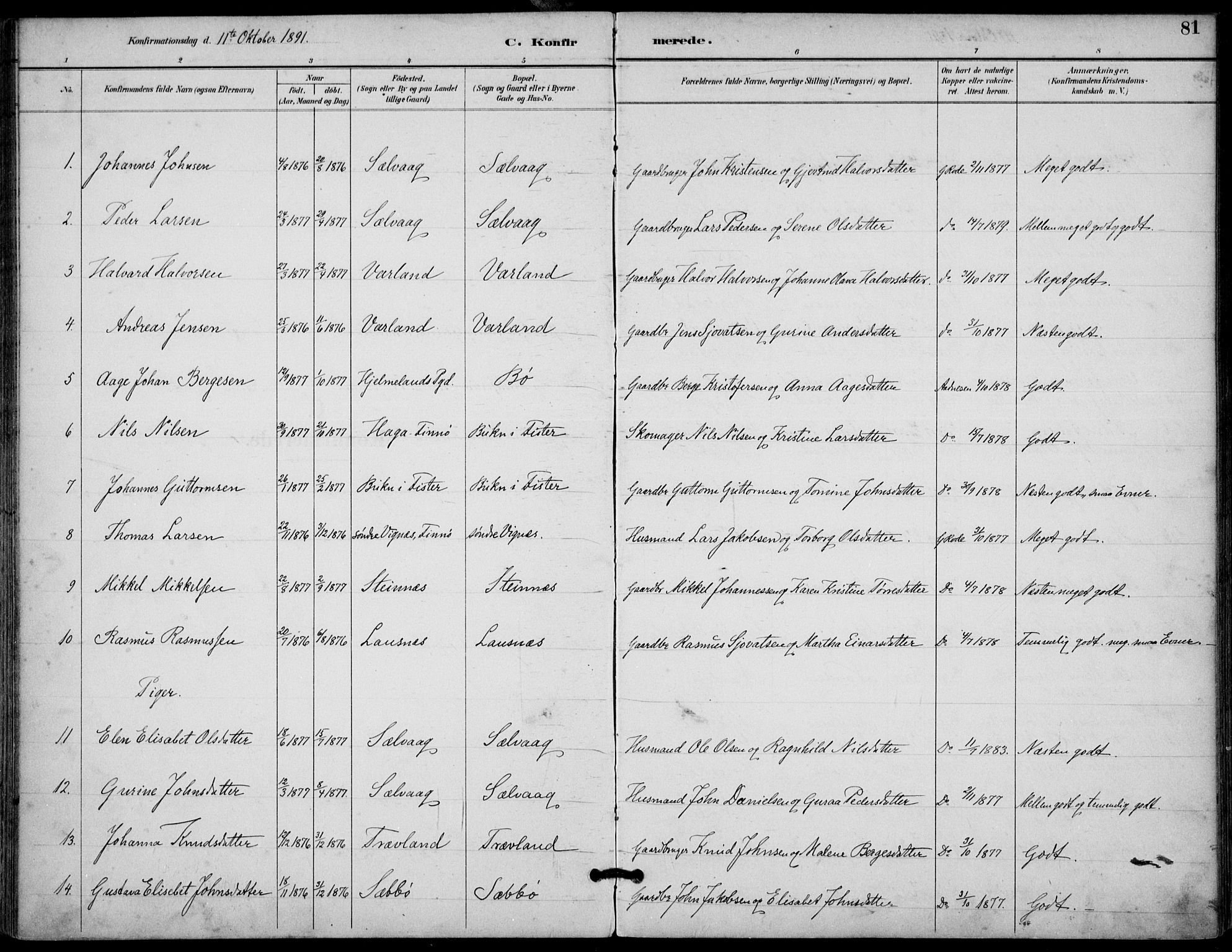 Finnøy sokneprestkontor, SAST/A-101825/H/Ha/Haa/L0011: Parish register (official) no. A 11, 1891-1910, p. 81