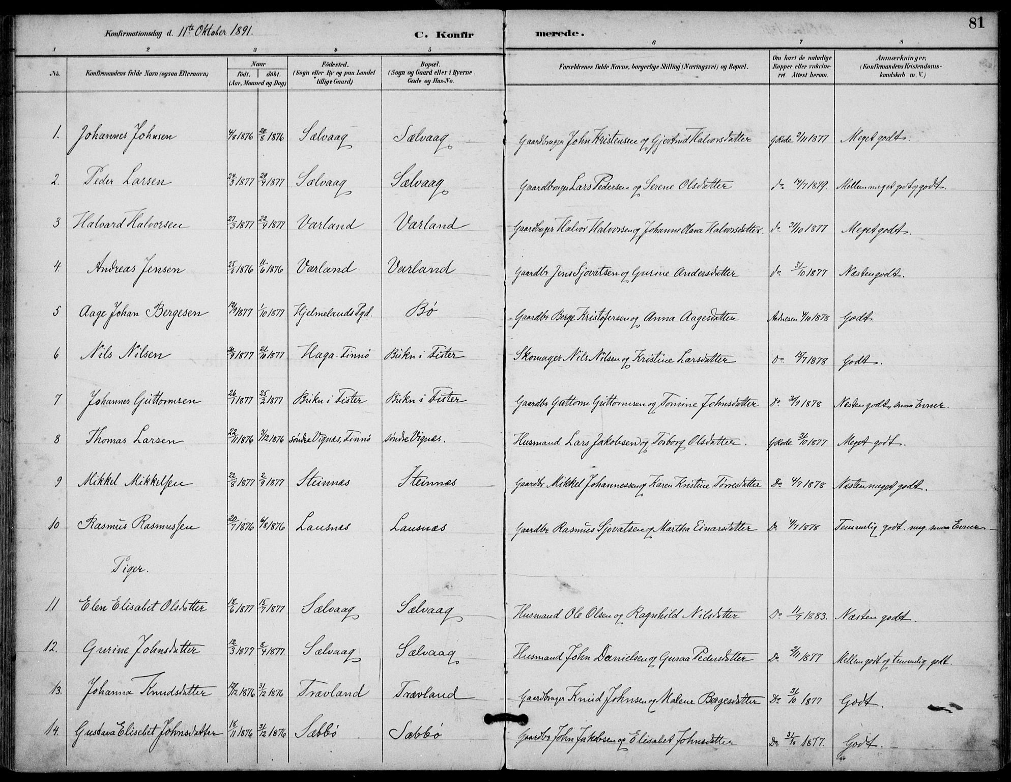 Finnøy sokneprestkontor, AV/SAST-A-101825/H/Ha/Haa/L0011: Parish register (official) no. A 11, 1891-1910, p. 81