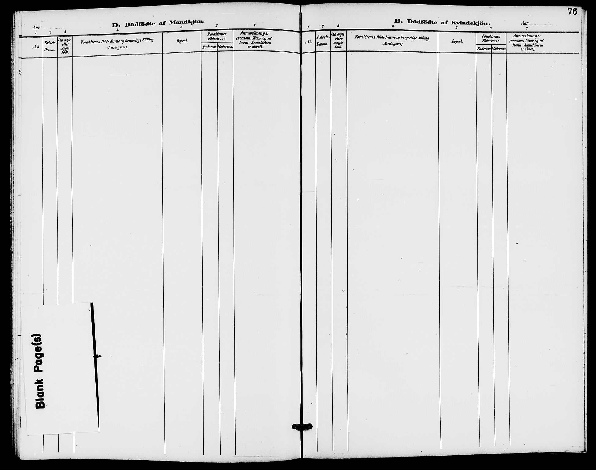 Rødenes prestekontor Kirkebøker, AV/SAO-A-2005/G/Ga/L0002: Parish register (copy) no. I 2, 1901-1910, p. 76